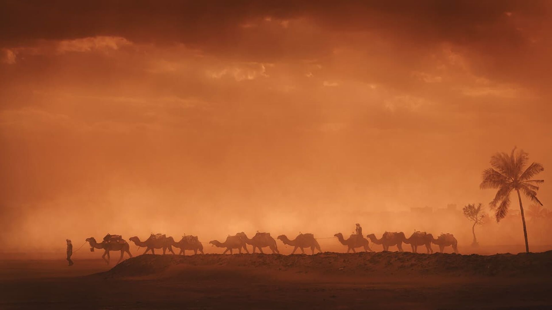 مسابقه طبیعت AAP