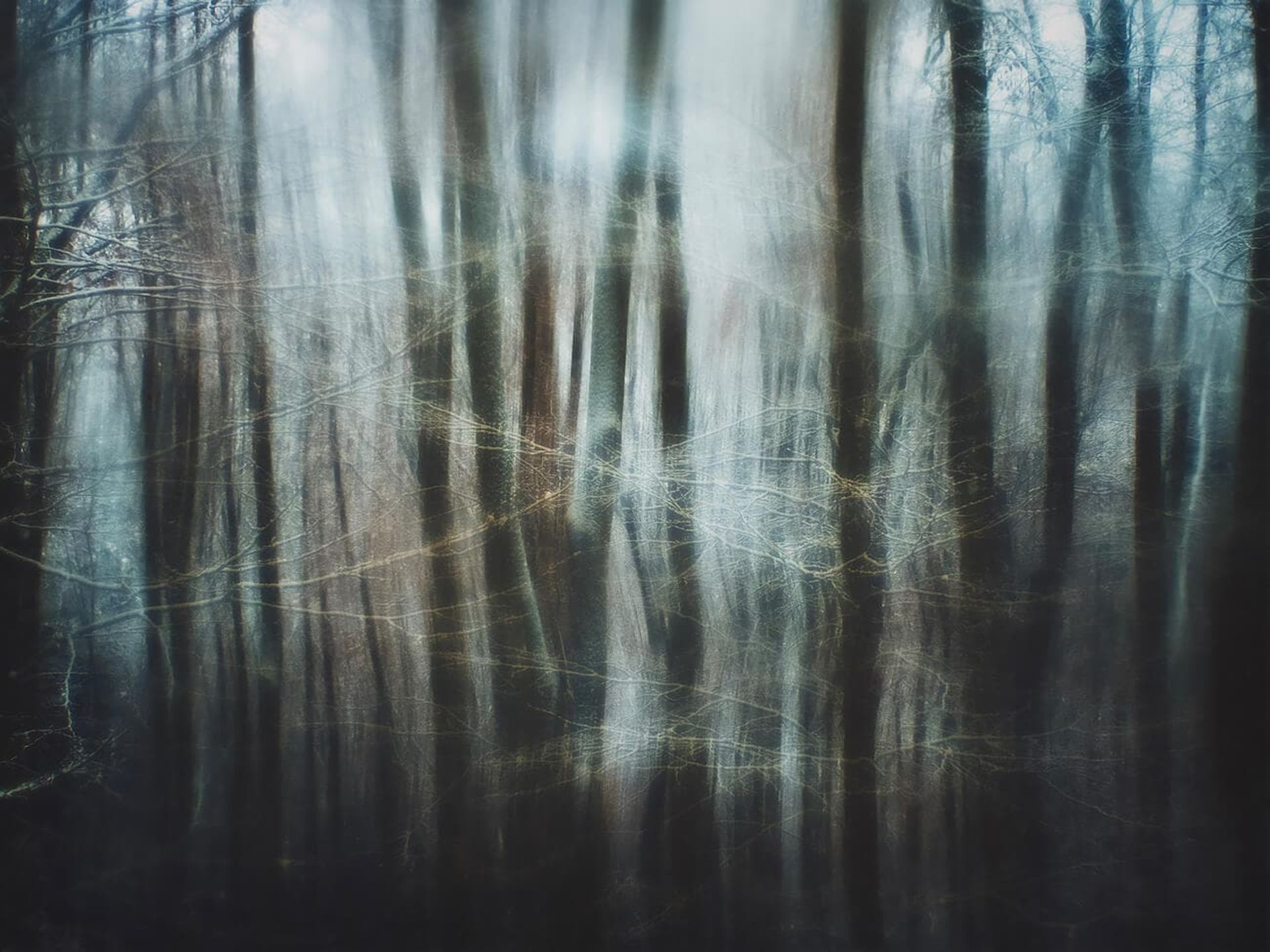 مسابقه طبیعت AAP