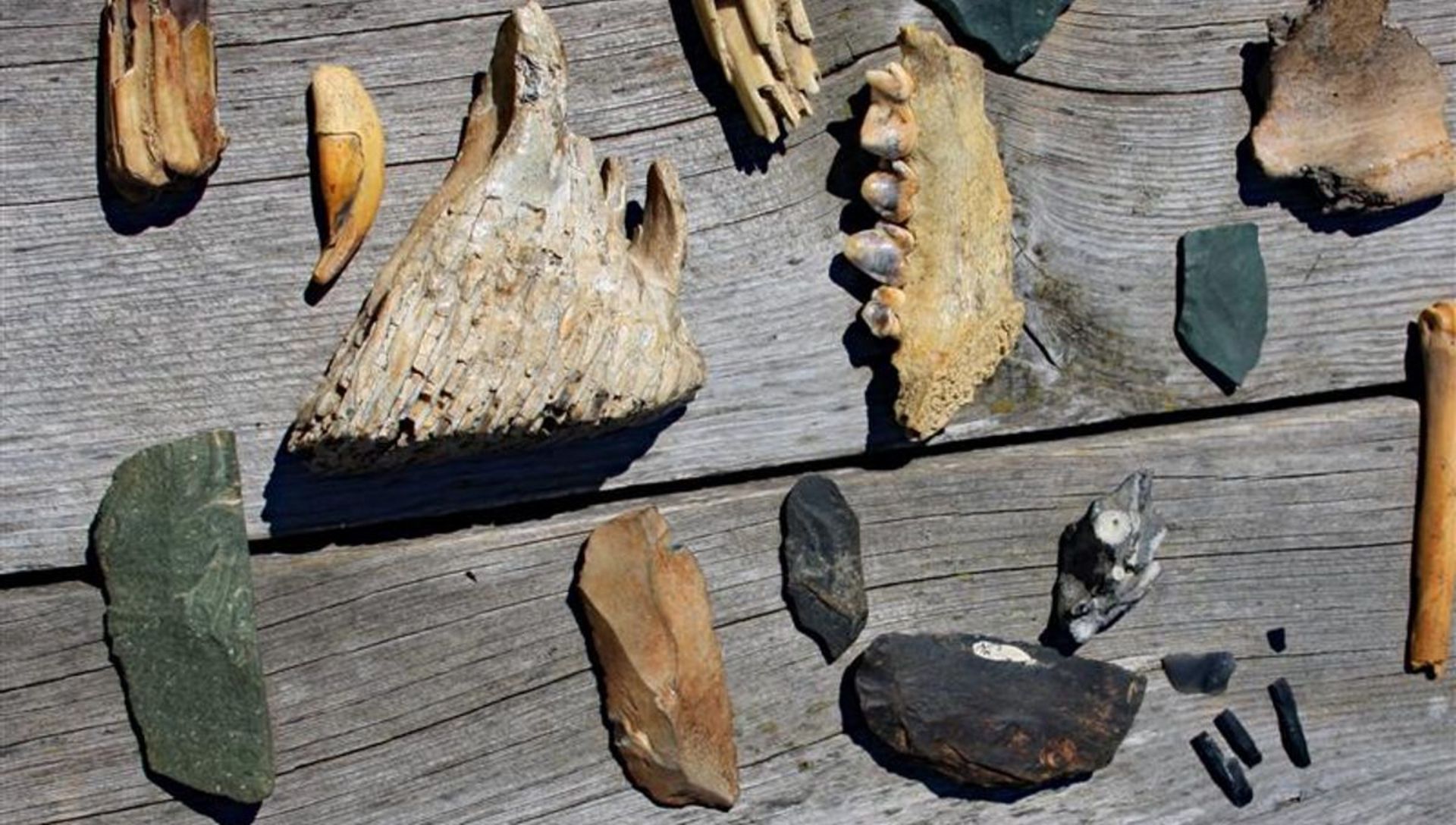 دست‌سازه‌های کشف‌شده از انسان‌تباران دنیسووا در غار دنیسووا در آلتای روسیه