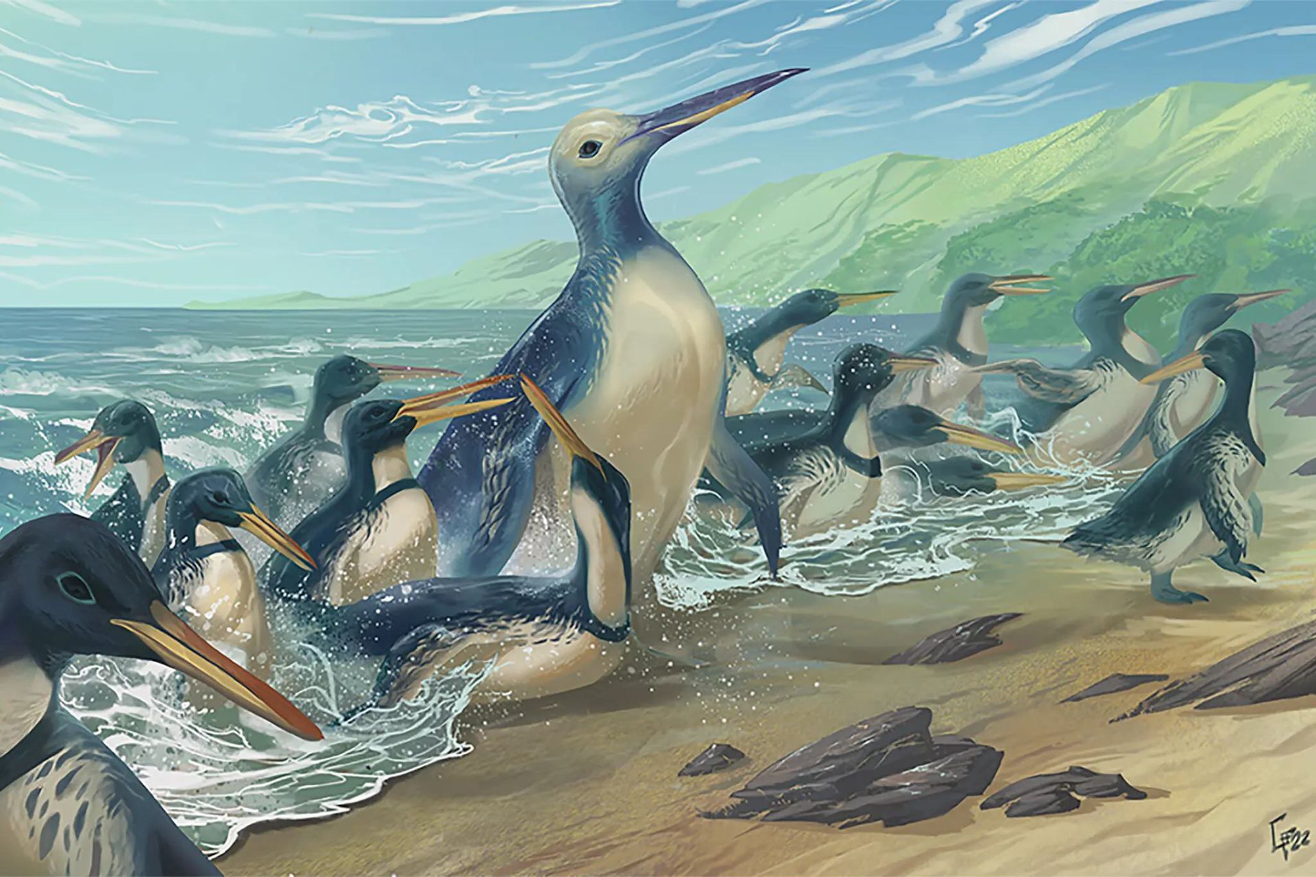 تصویر هنری از بزرگ‌ترین پنگوئن کشف‌شده تاکنون
