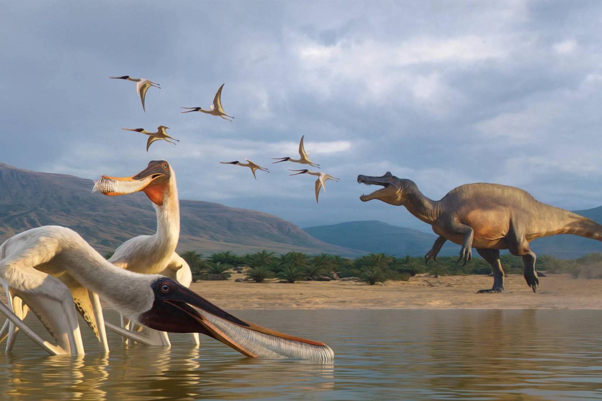 برداشت هنرمند از پتروسور  Bakiribu waridza