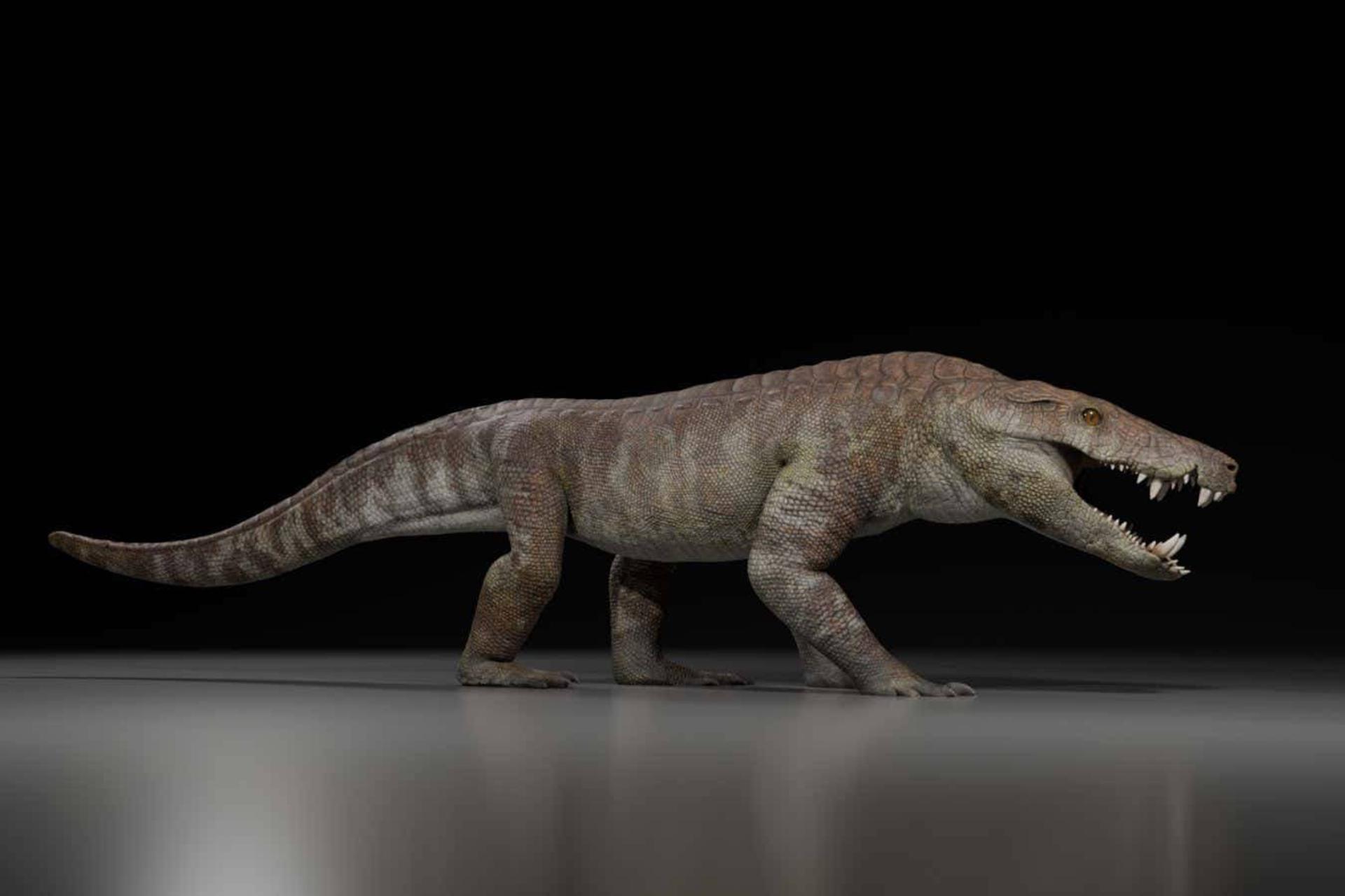 کشف هیولای دایناسورخوار: این خویشاوند باستانی تمساح‌ها کابوس شکارچیان کرتاسه بود