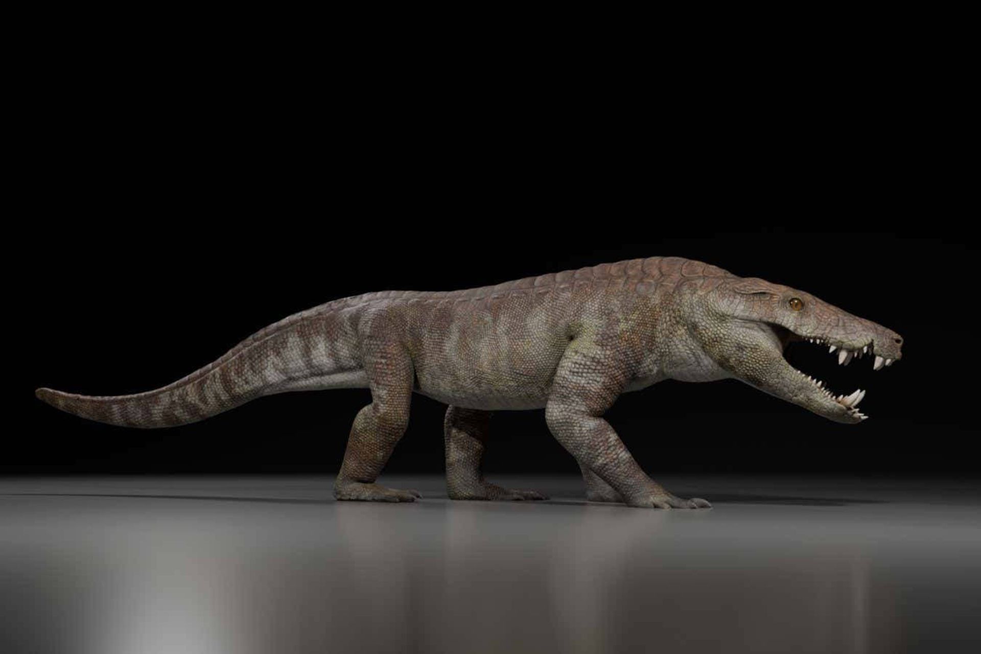 تصویرسازی هنری از خزنده باستانی کوستنسوکوس آتروکس