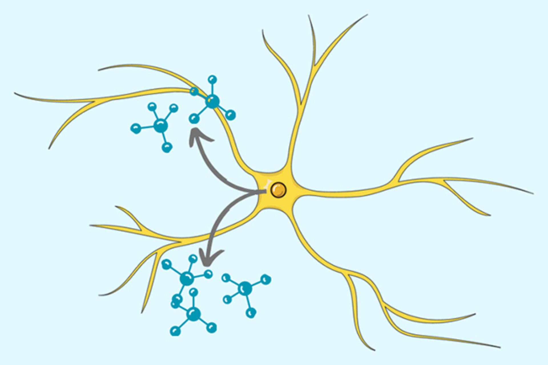 شکلی از آستروسیت (astrocyte) یا آستروگلیا