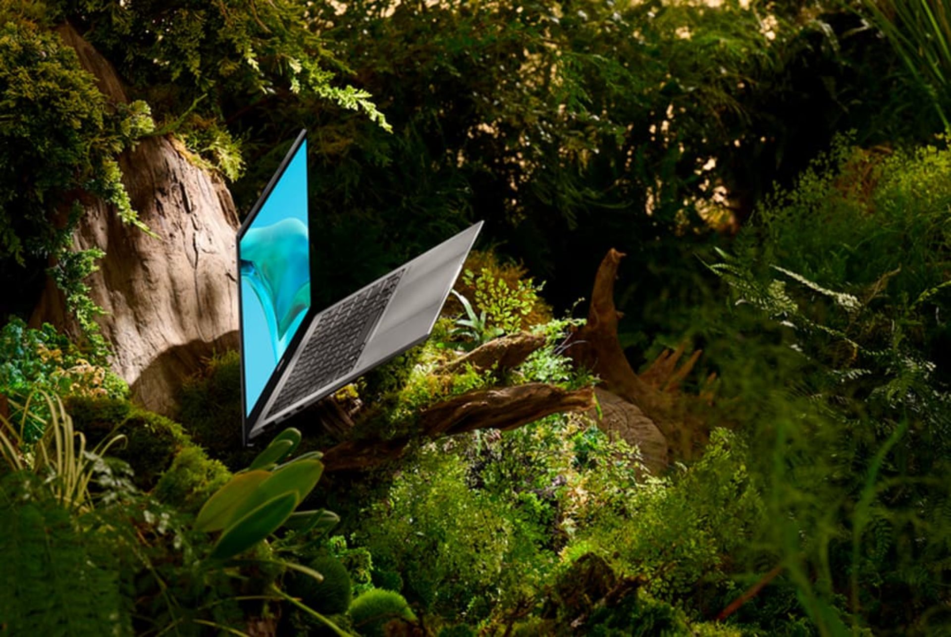 لپ تاپ ایسوس Zenbook S 13 OLED در جنگل