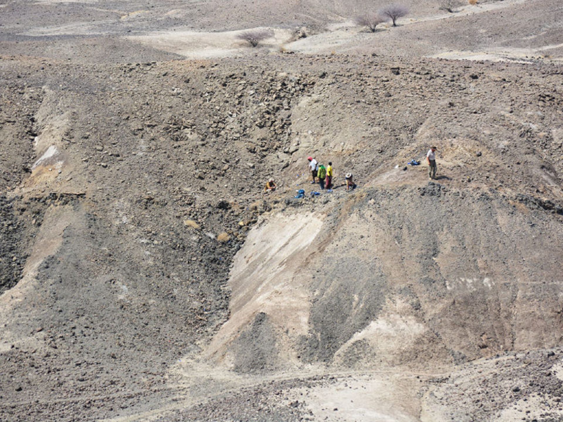 محققان در حال حفاری در منطقه لدی گرارو در اتیوپی