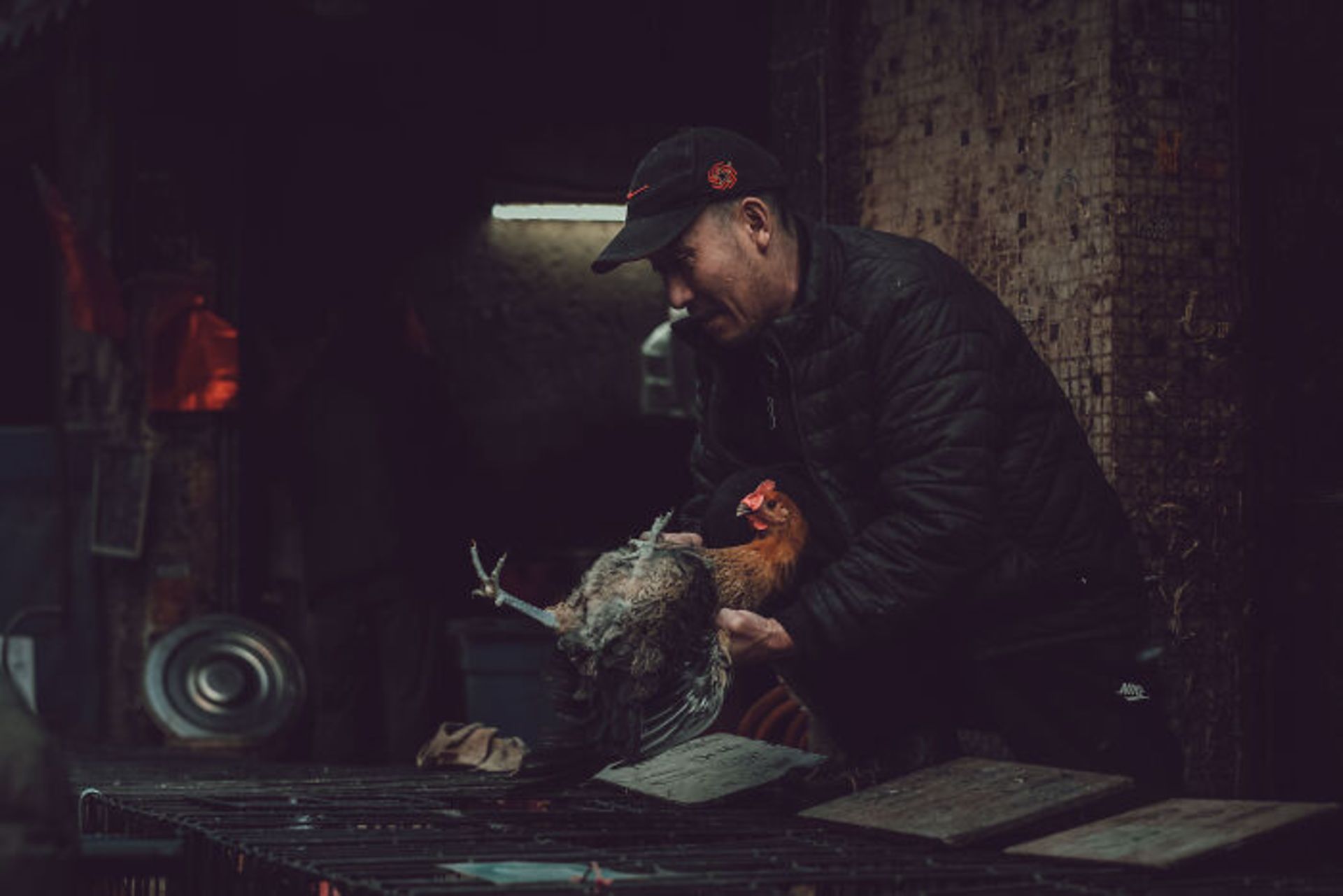 ماکیان در بازار محلی فوشان چین