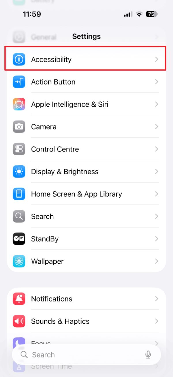 تنظیمات آیفون در حالت روشن با گزینه‌ی Accessibility هایلایت شده