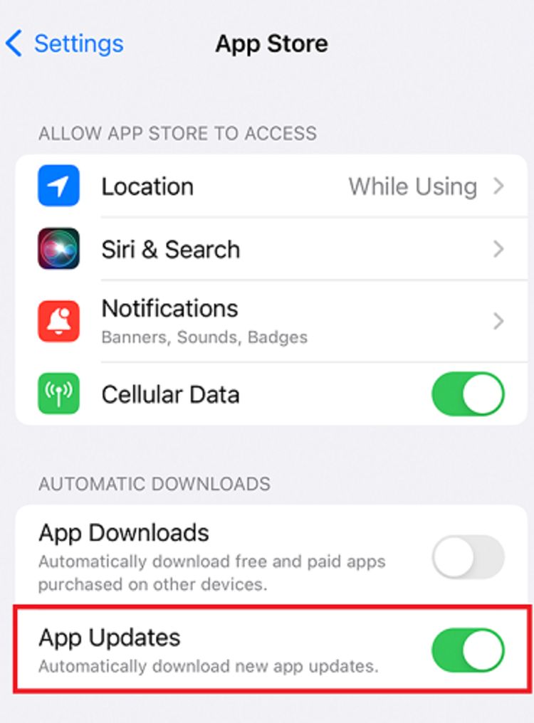 Disabling the automatic update of applications on the iPhone