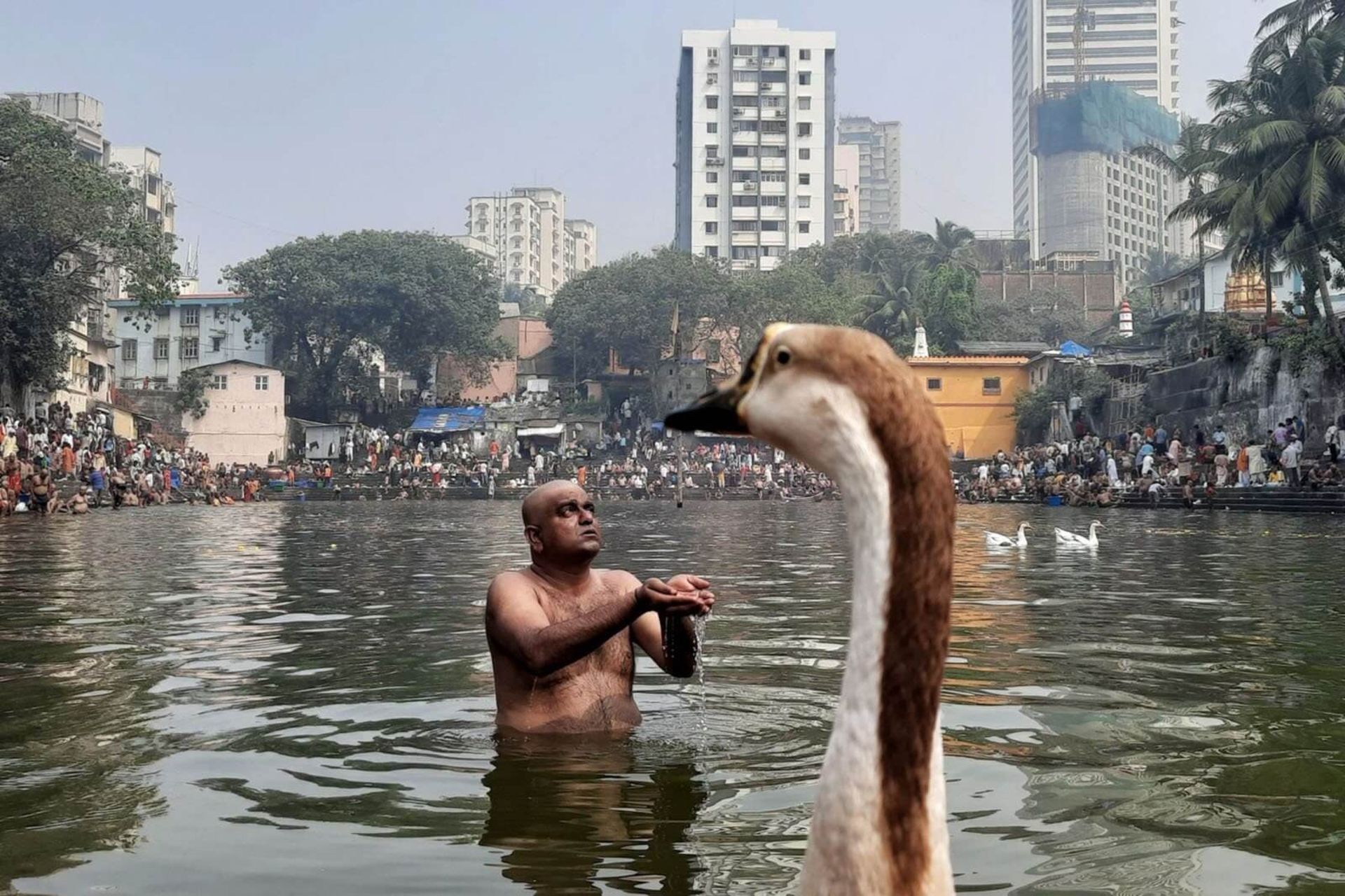 عکس ثبت شده از مردی برهنه به همراه پرنده ای در آب توسط فینالیست Pure Street Photography 2025