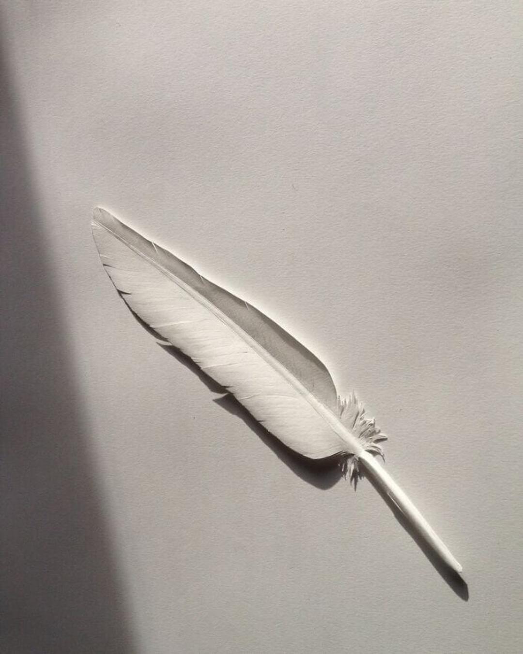 پر ساخته شده با کاغذ