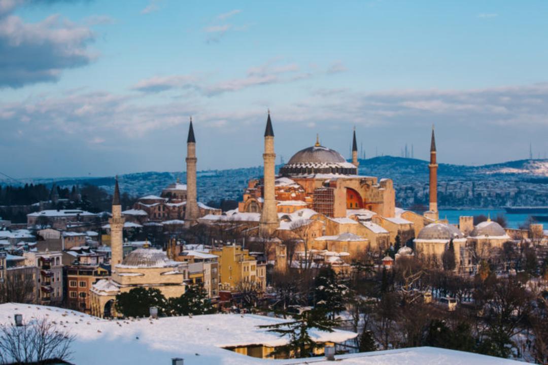فلای تودی