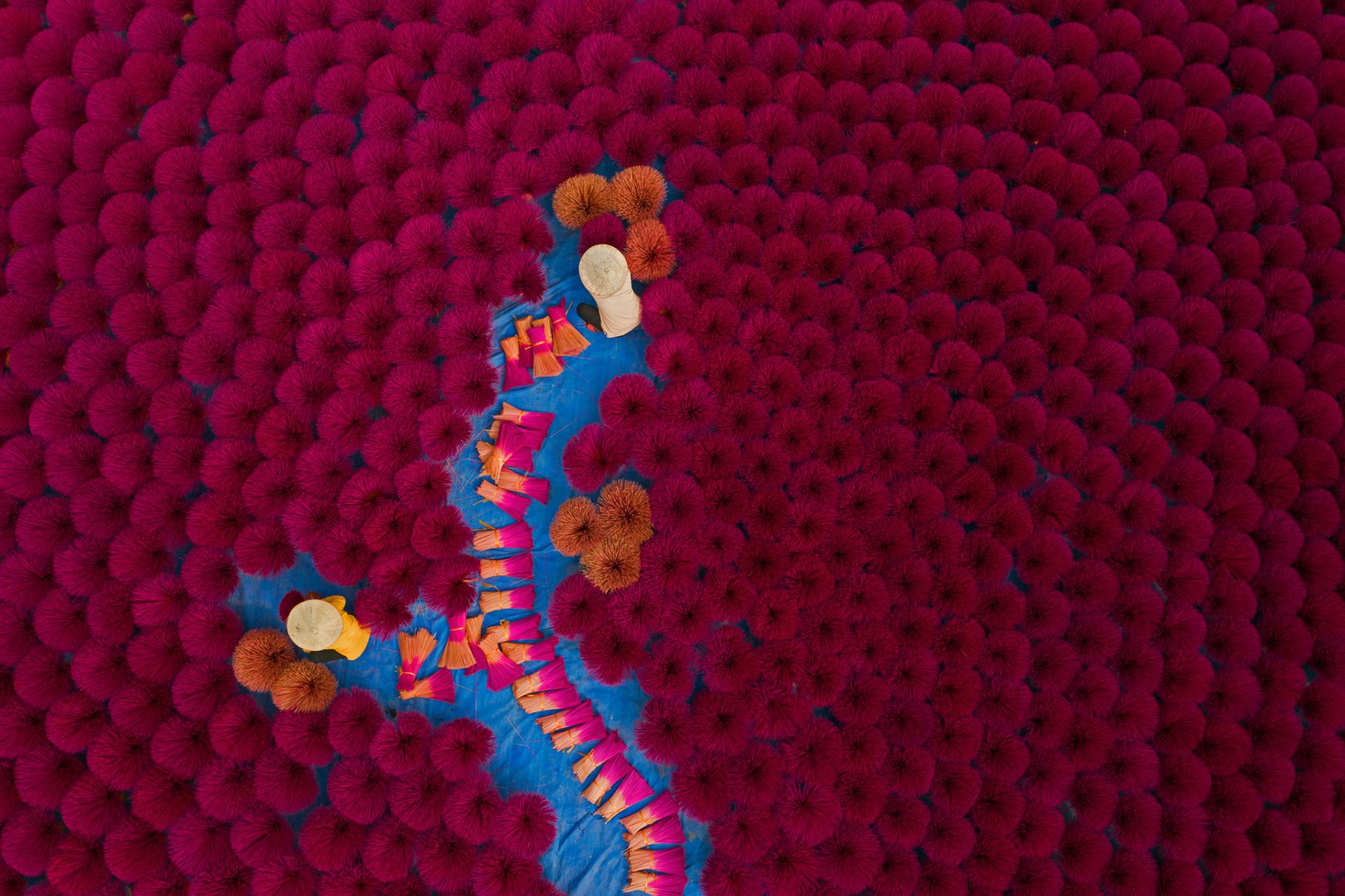 برنده دسته هوایی پهپاد مسابقه عکاسی قناری ۲۰۲۳