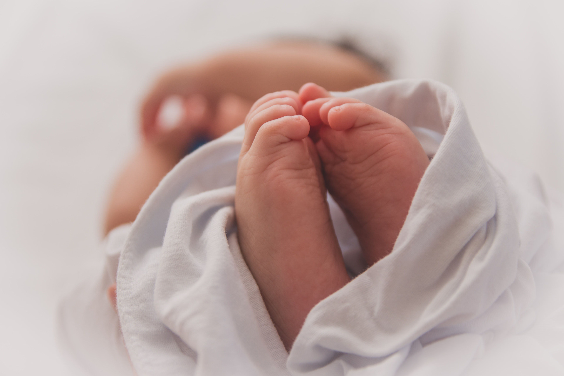 تولد ۱۳ میلیون نوزاد از لوله آزمایش؛ نخستین گزارش جهانی از آمار تولدهای IVF منتشر شد