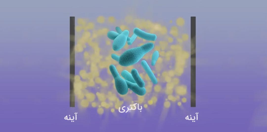 باکتری بین دو آینه