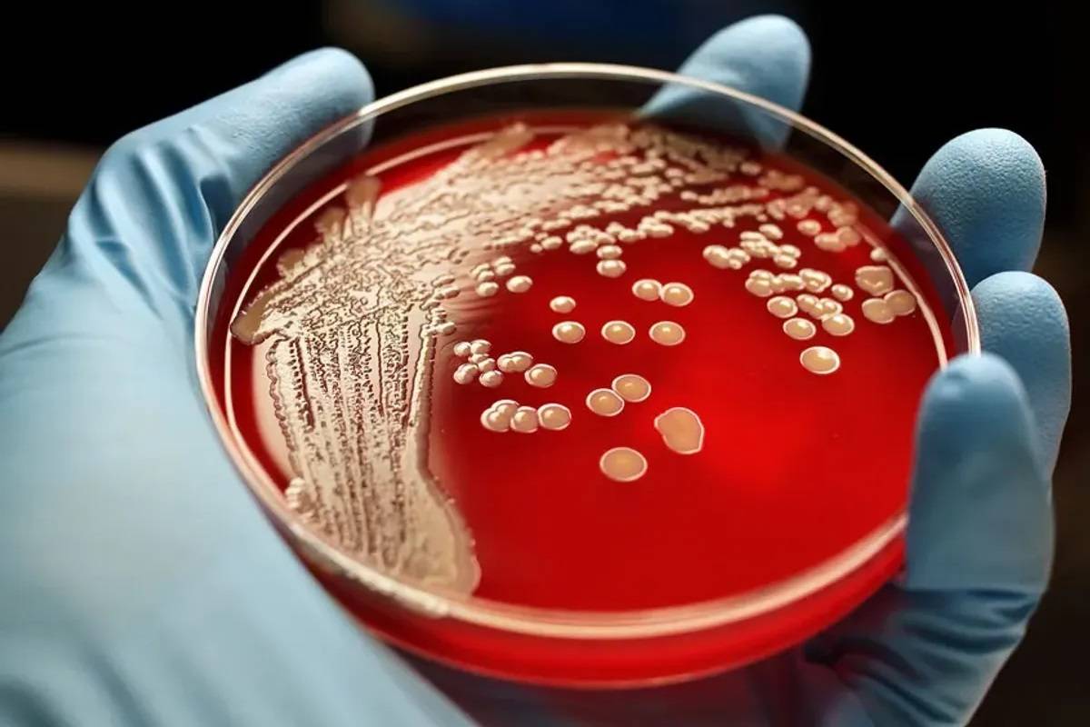 باکتری‌ها چگونه می‌توانند در برابر داروهایی که هنوز ساخته نشده‌اند، مقاوم شوند؟