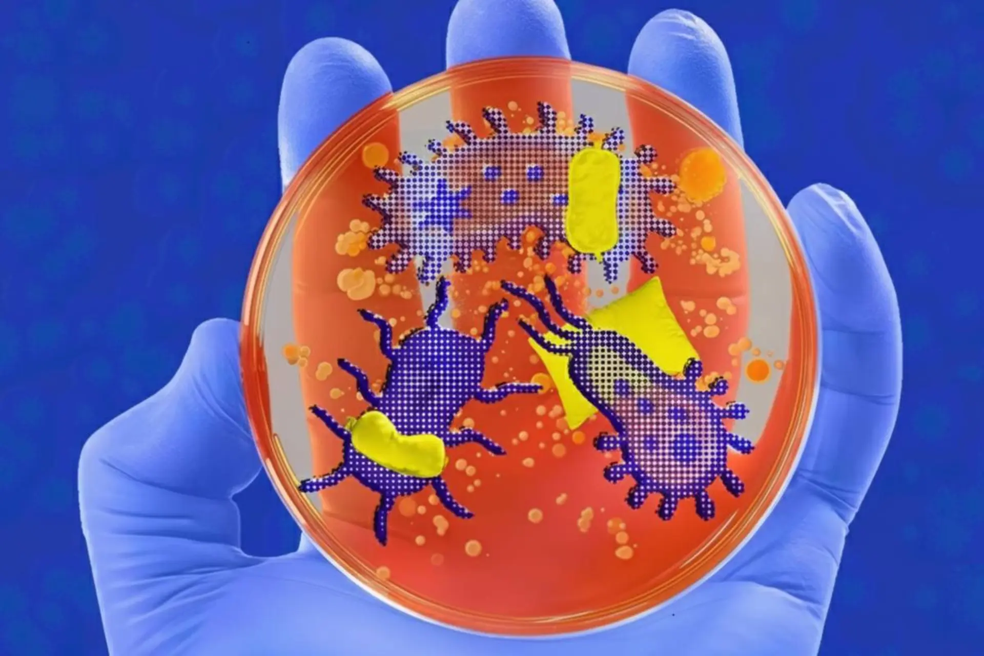 باکتری در ظرف آزمایشگاه