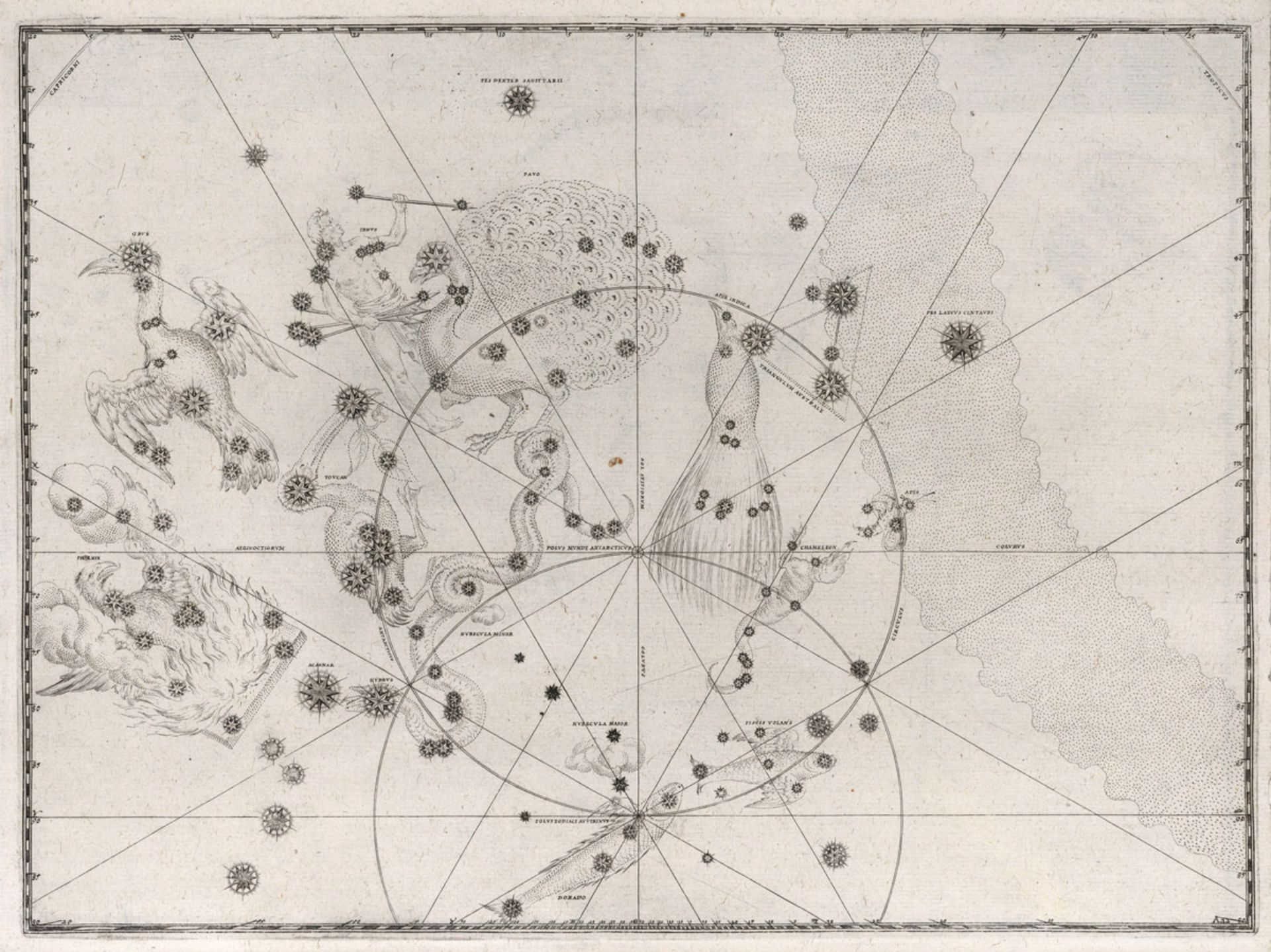 نقشه صورت های فلکی جنوبی