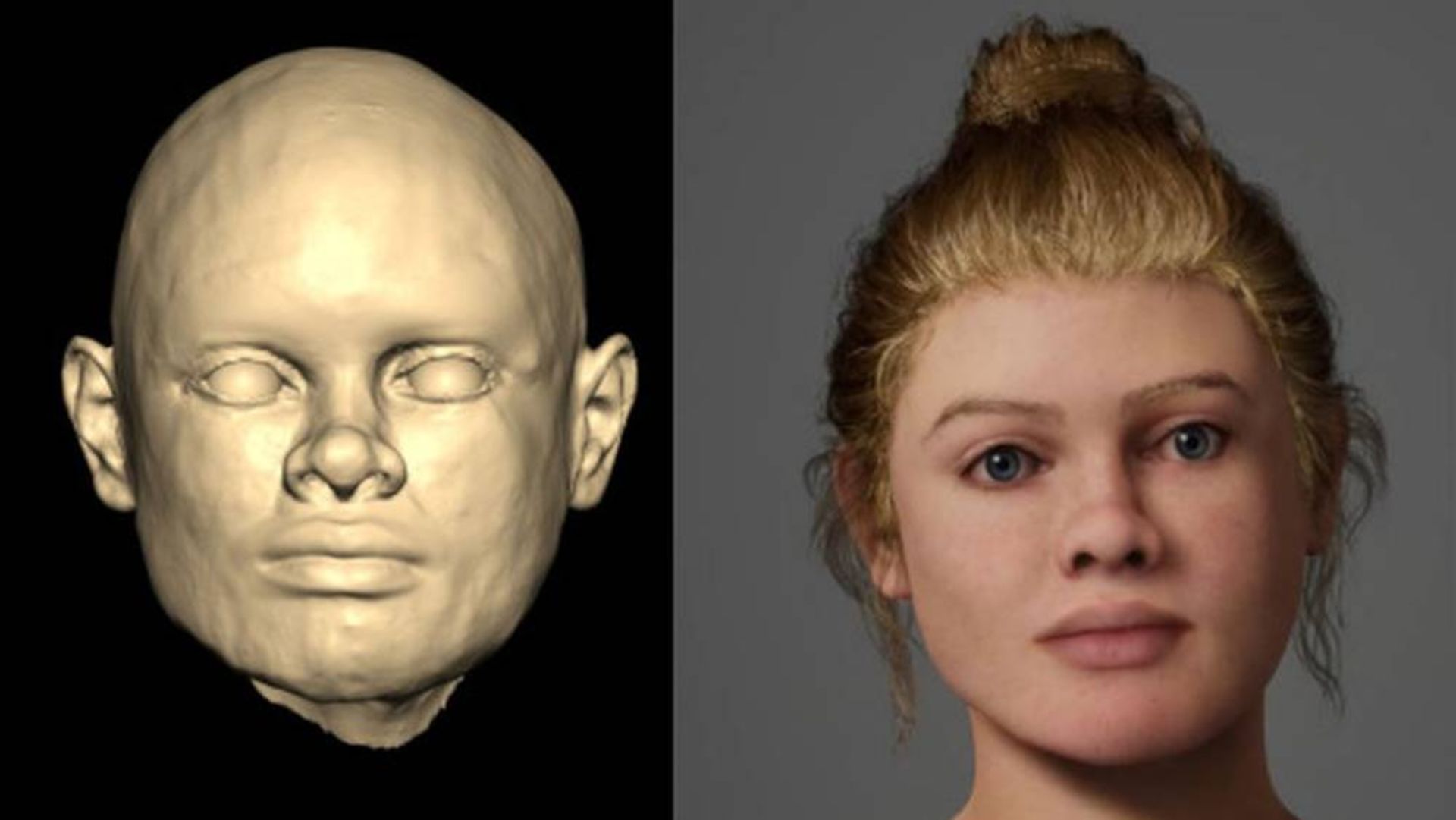 تصویر دیجیتال از اسکن سه‌بعدی جمجمه زن بیچی‌هد در سمت راست و اسکن سه‌بعدی جمجمه زن بیچی‌هد در سمت چپ