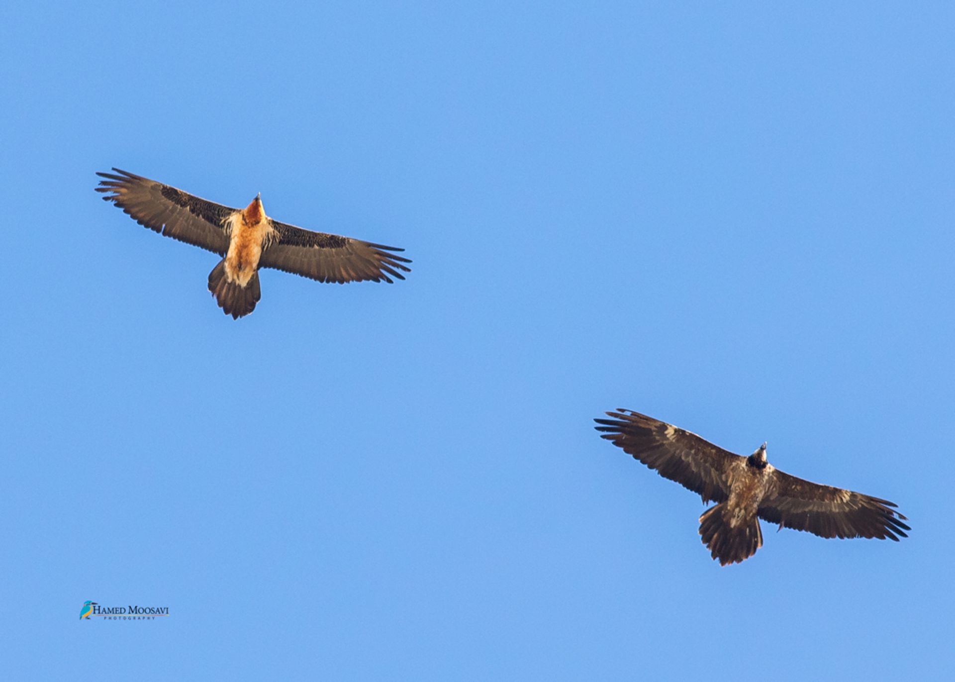 دو هما در آسمان