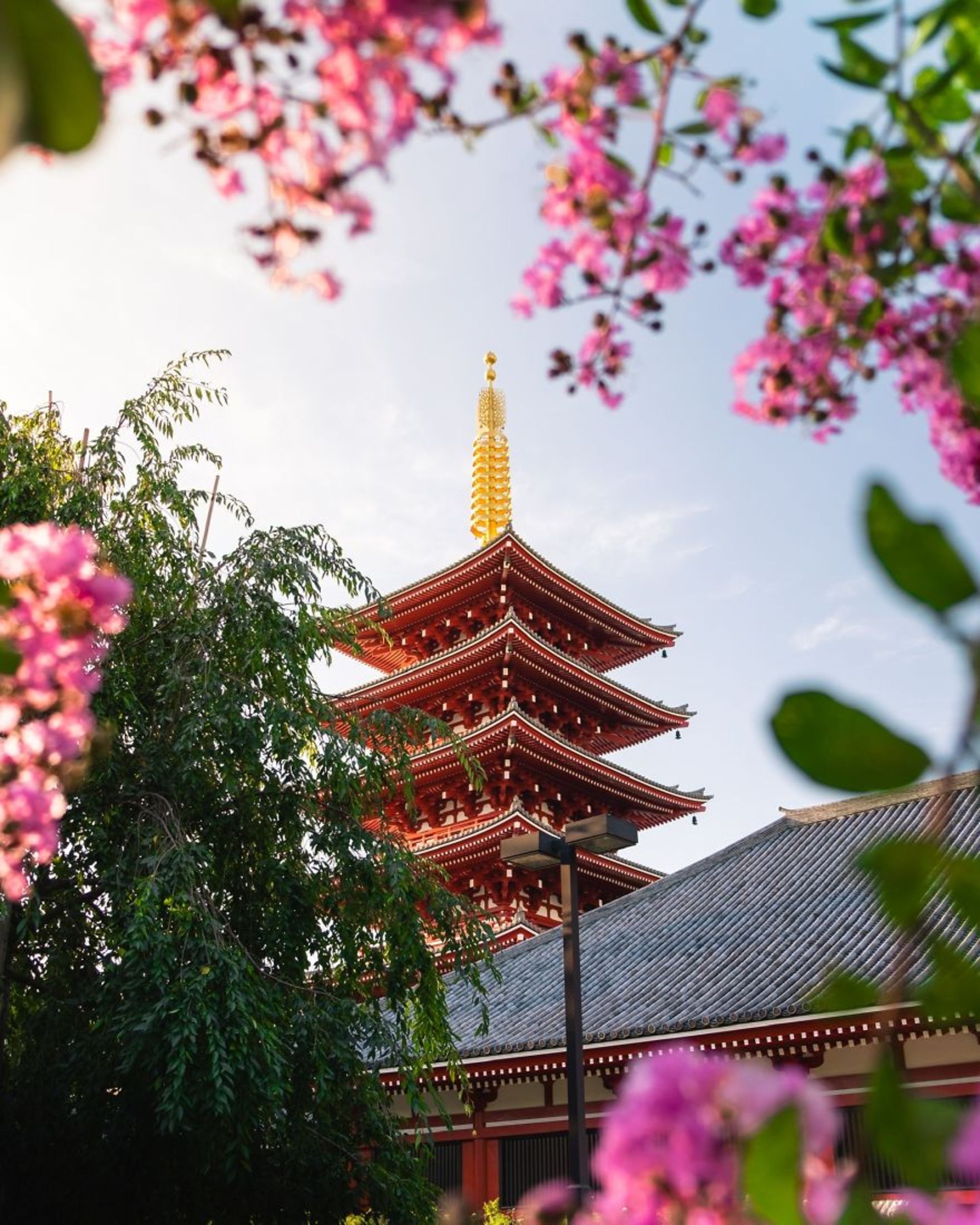 ساختمانی در توکیو بهاری