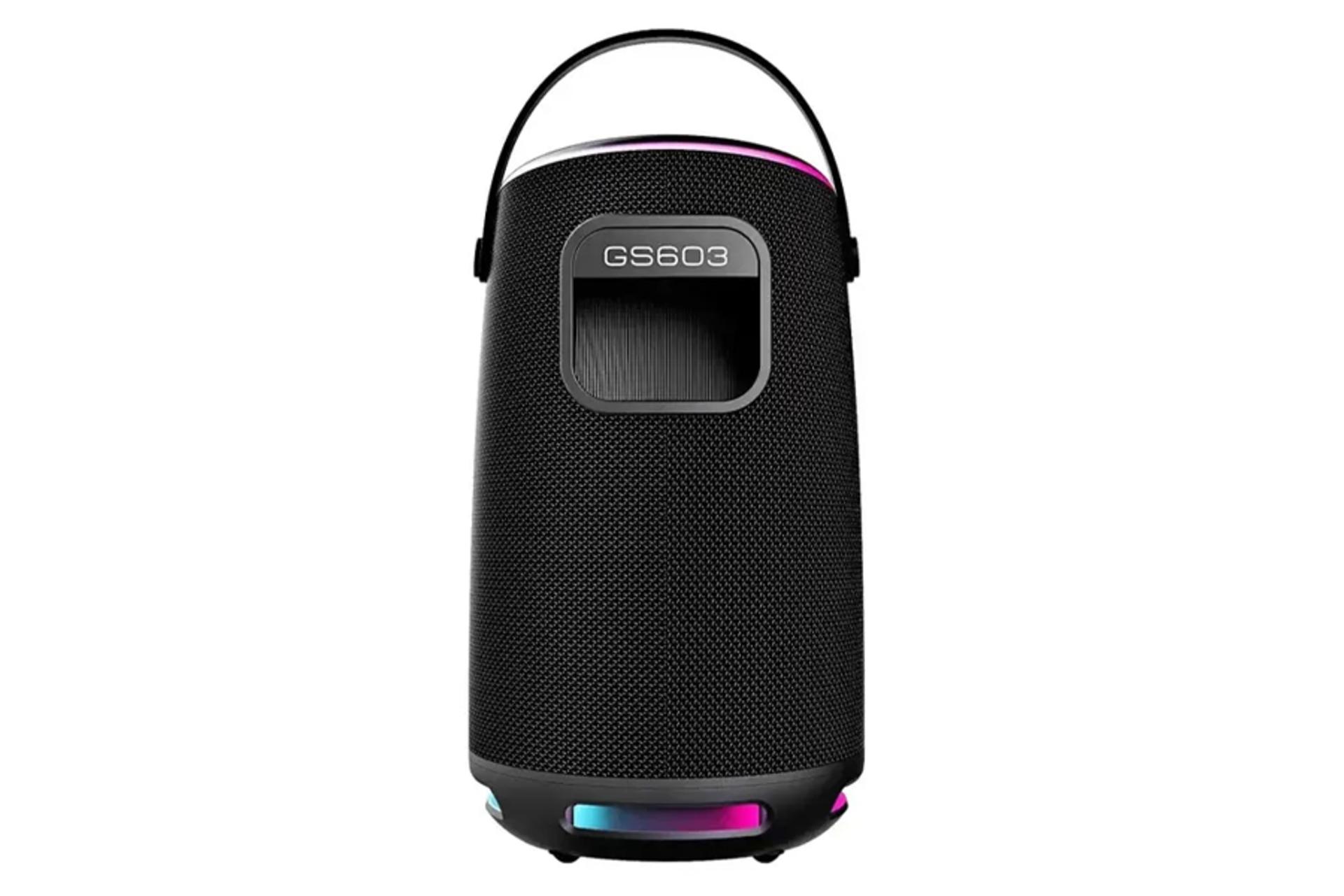 نمای پشت و بدنه اسپیکر بیکارو GS603