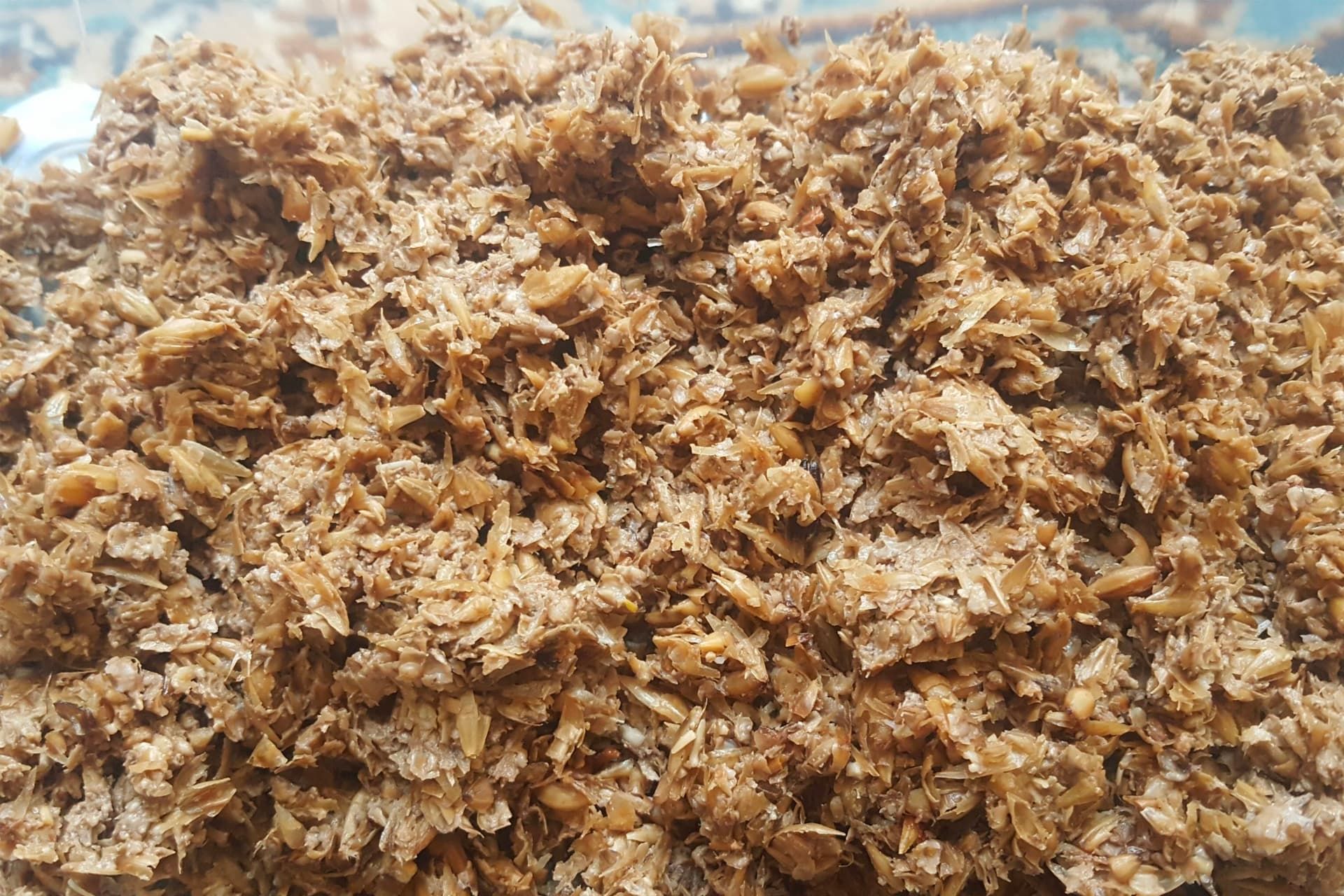 تفاله آب جو ماء الشعیر