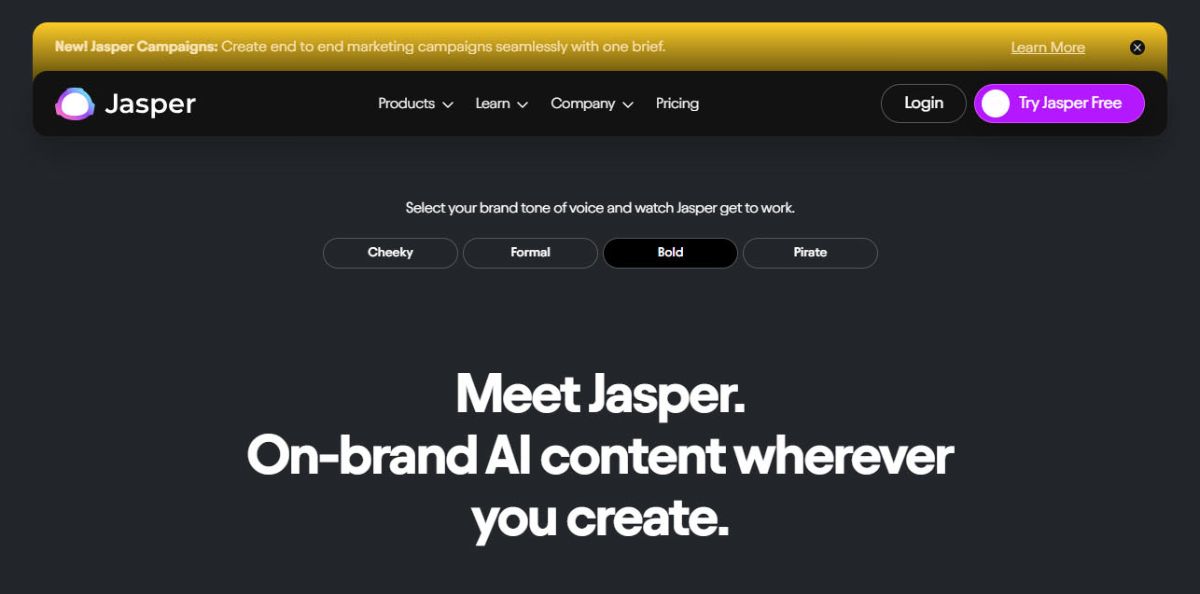 صفحه وب‌سایت پلتفرم jasper