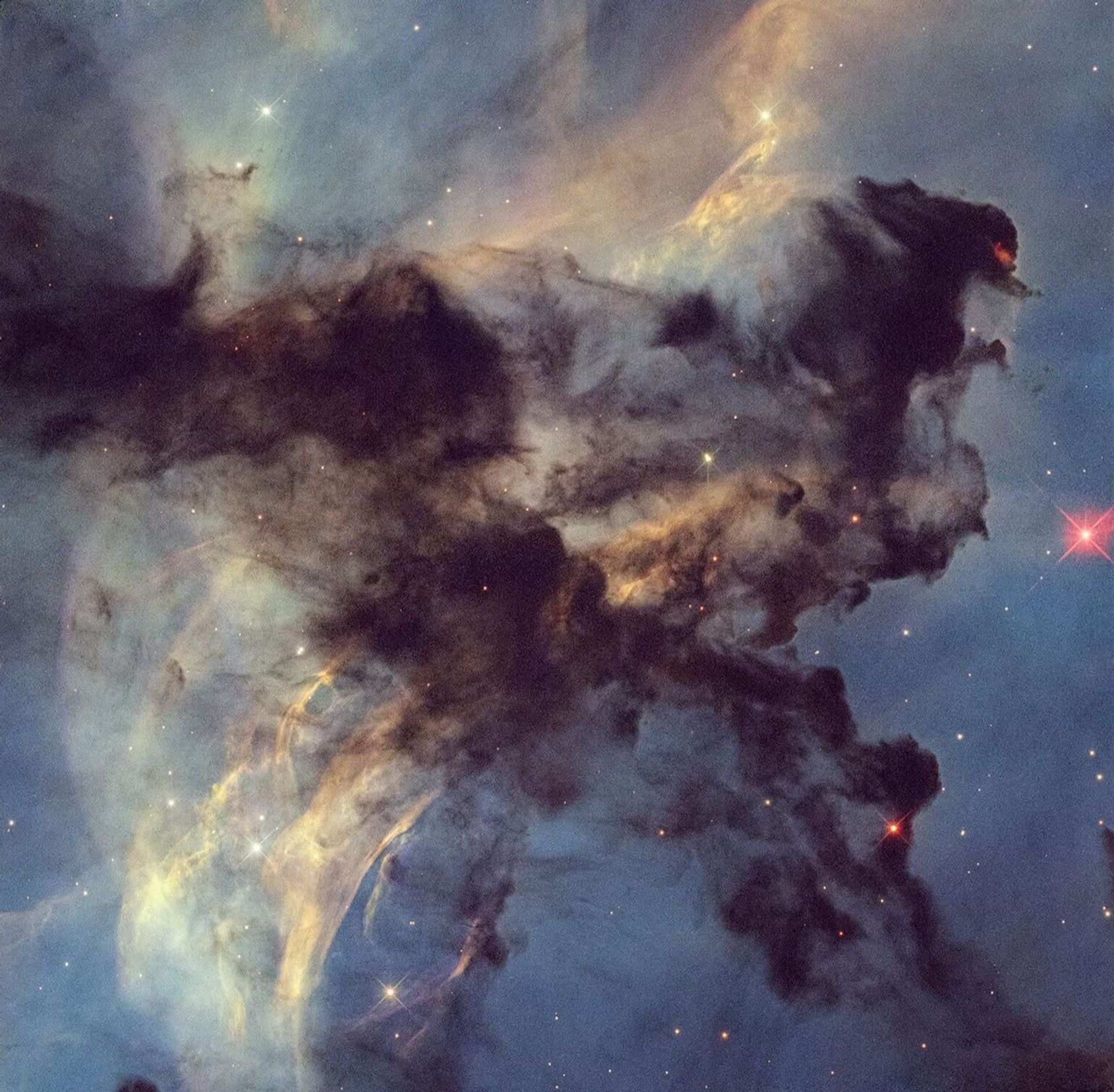 سال سی و پنجم پروژه تلسکوپ فضایی هابل - Dark Clouds in Rosette Nebula