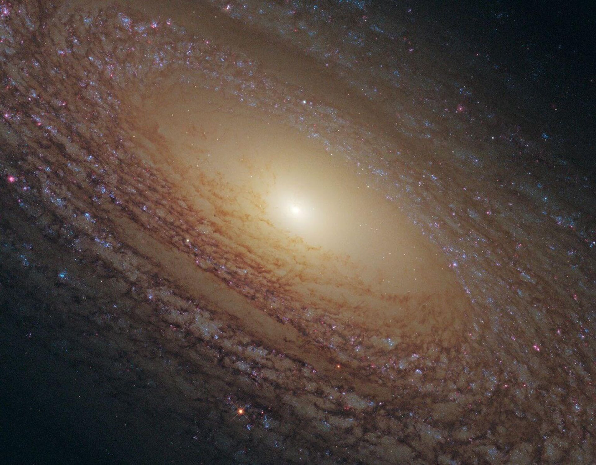 سال بیست و دوم پروژه تلسکوپ فضایی هابل - NGC 2841