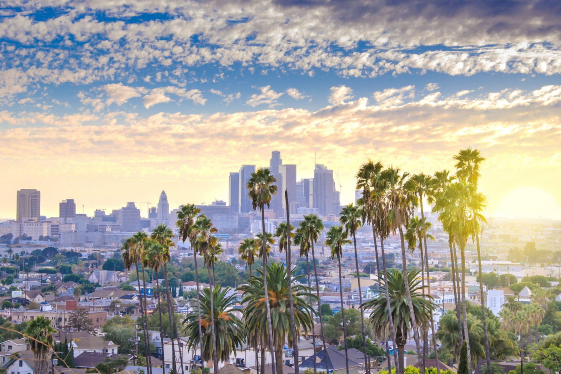 افق شهری لس‌آنجلس کالیفرنیا سال ۲۰۲۴