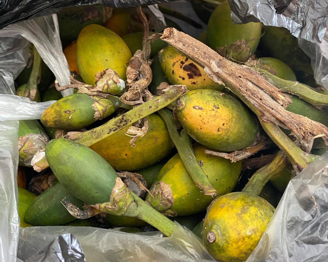 میوه‌های بتل (Betel nuts) سبز و زرد رنگ درون یک کیسه پلاستیکی