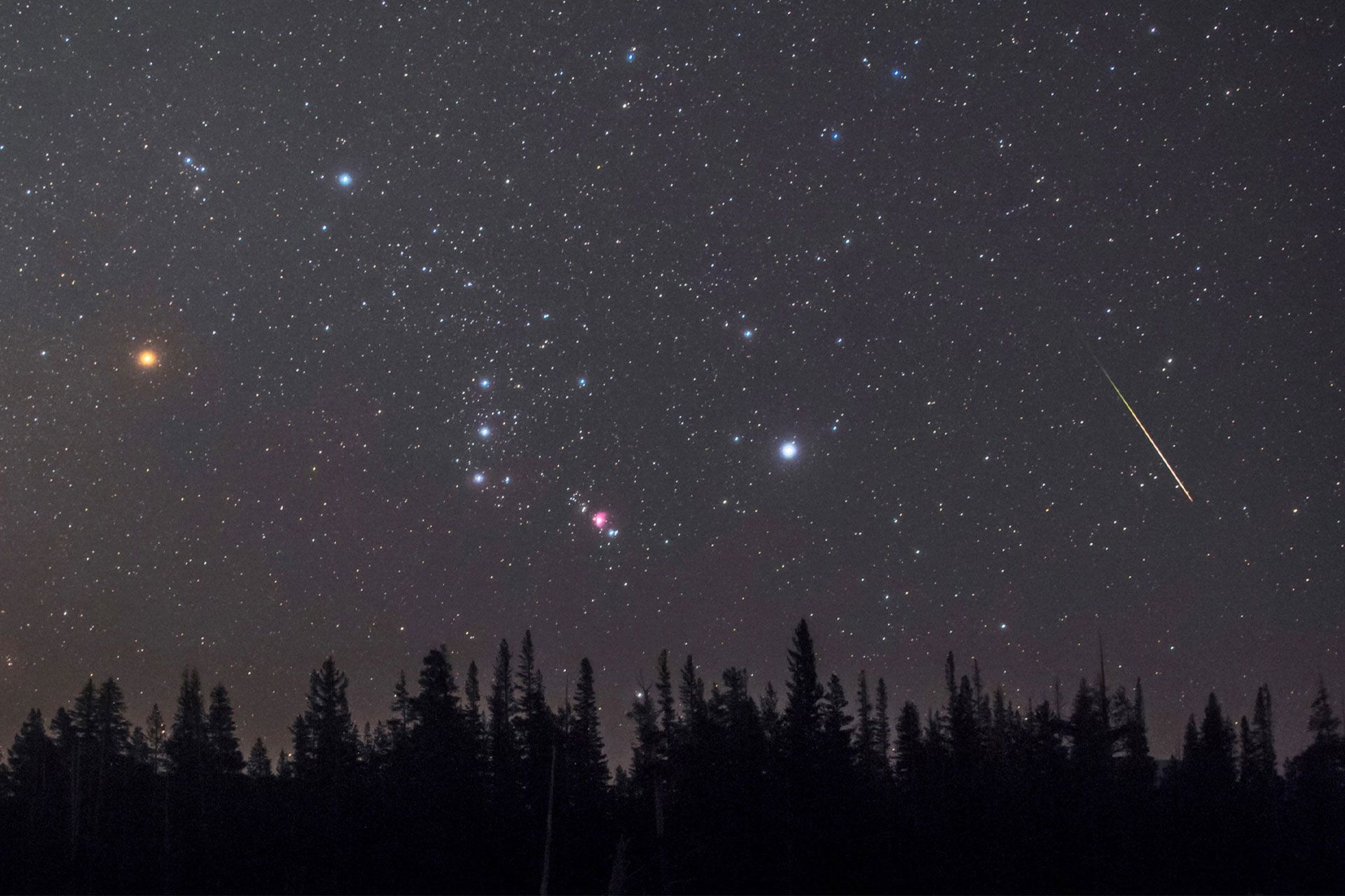 درخشش ابط‌الجوزا در آسمان شب