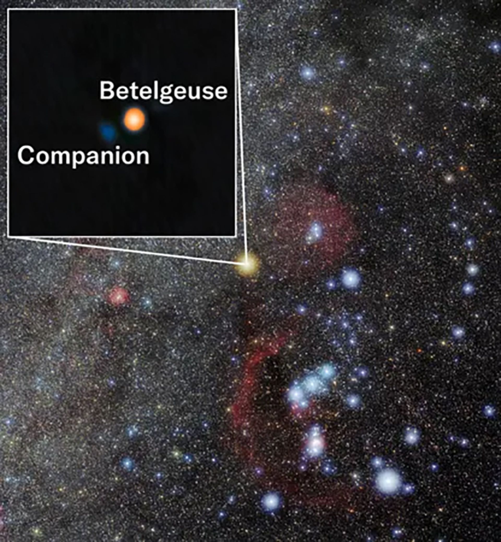 همراه ستاره ابط‌الجوزا