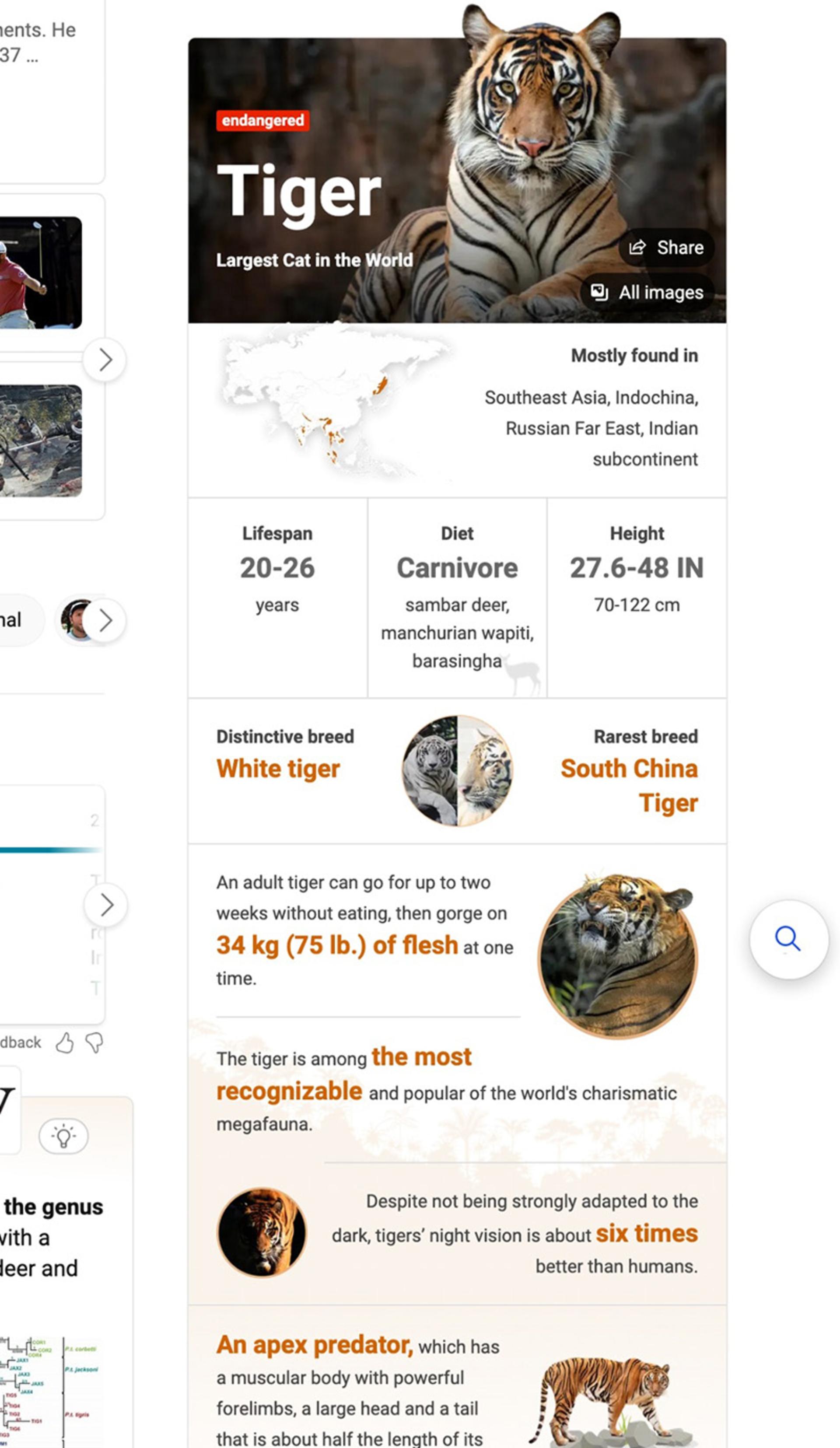 جستجوی tiger در بینگ