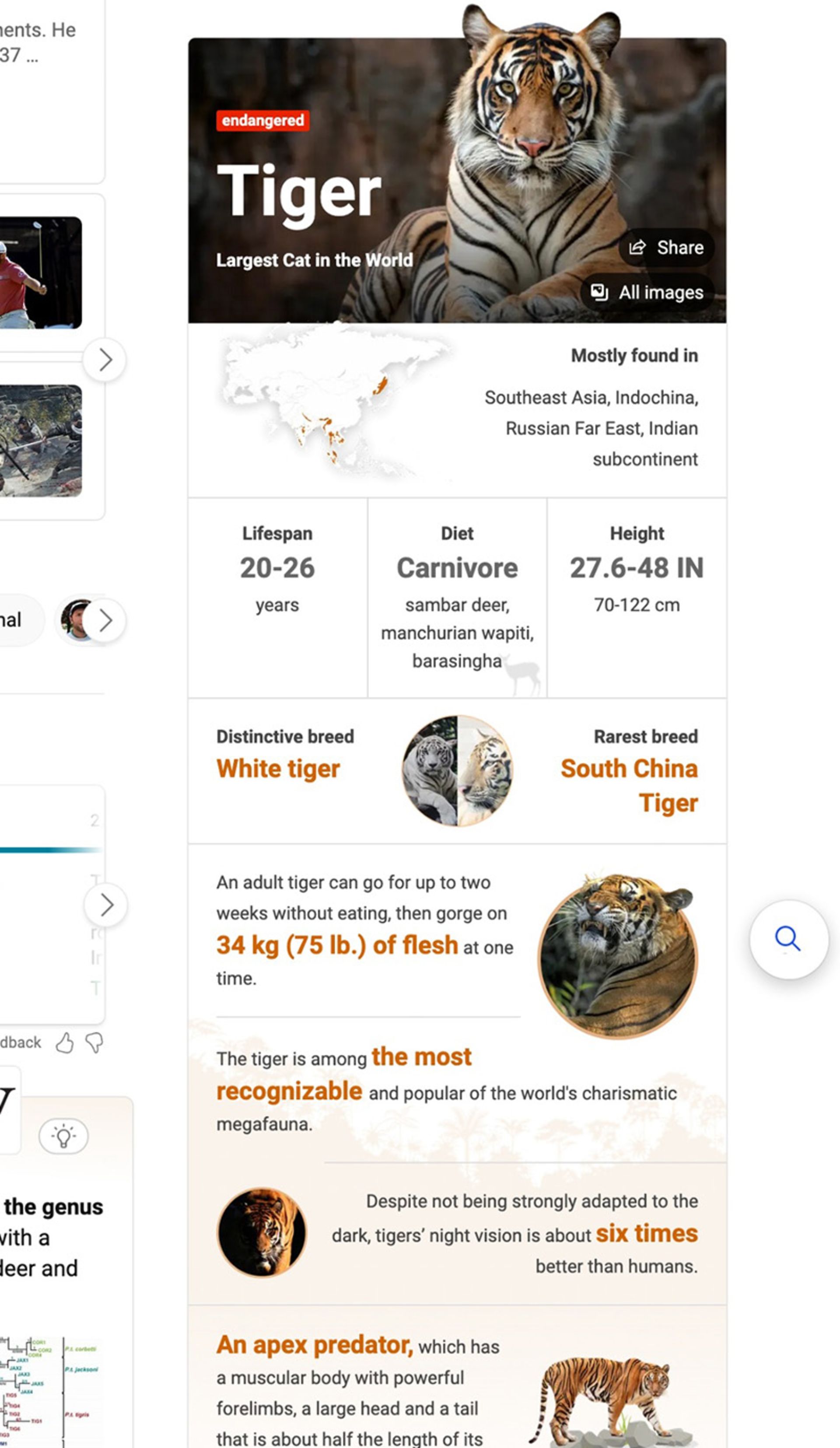 جستجوی tiger در بینگ