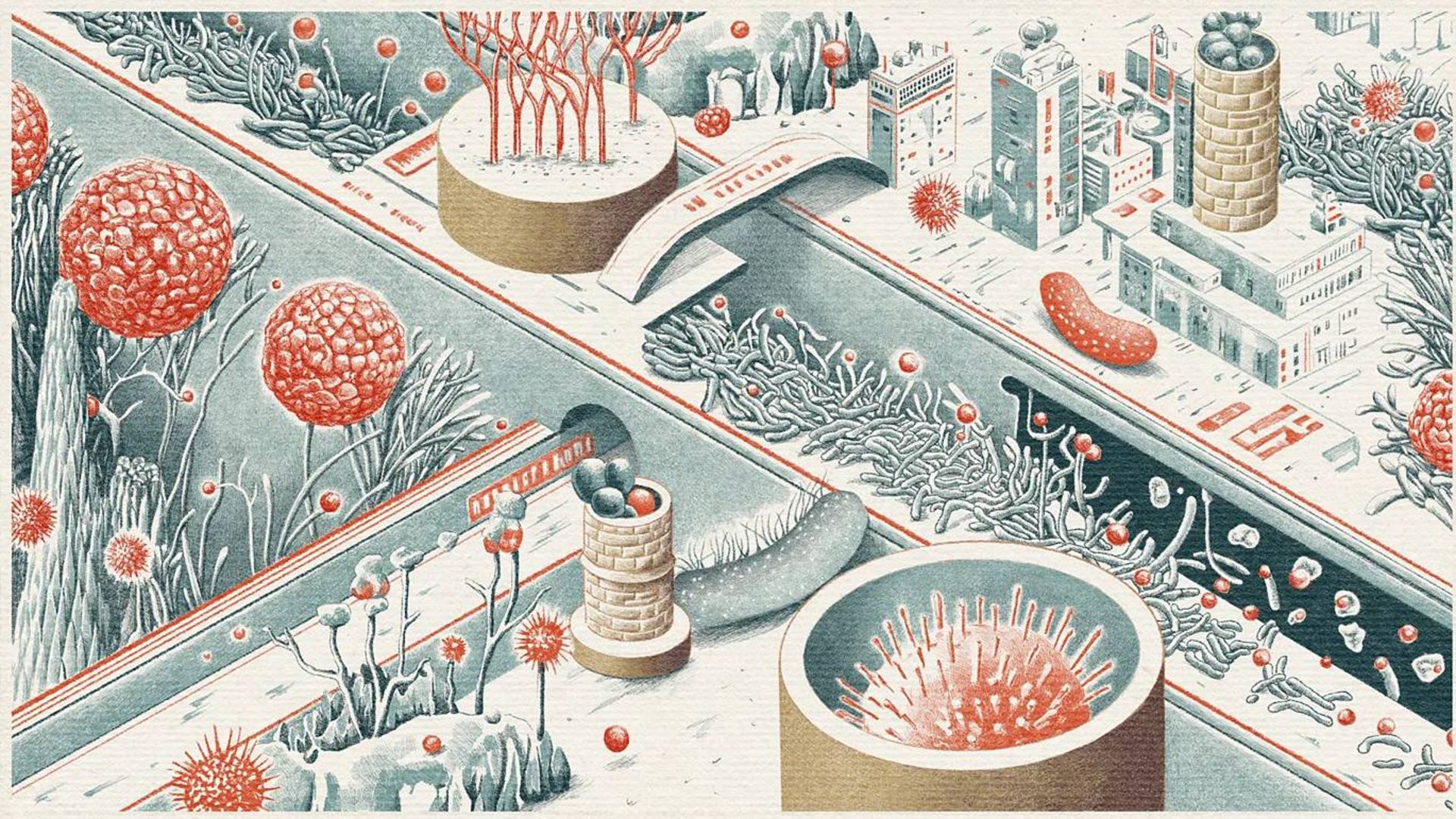 تصویرسازی از زیست لایه