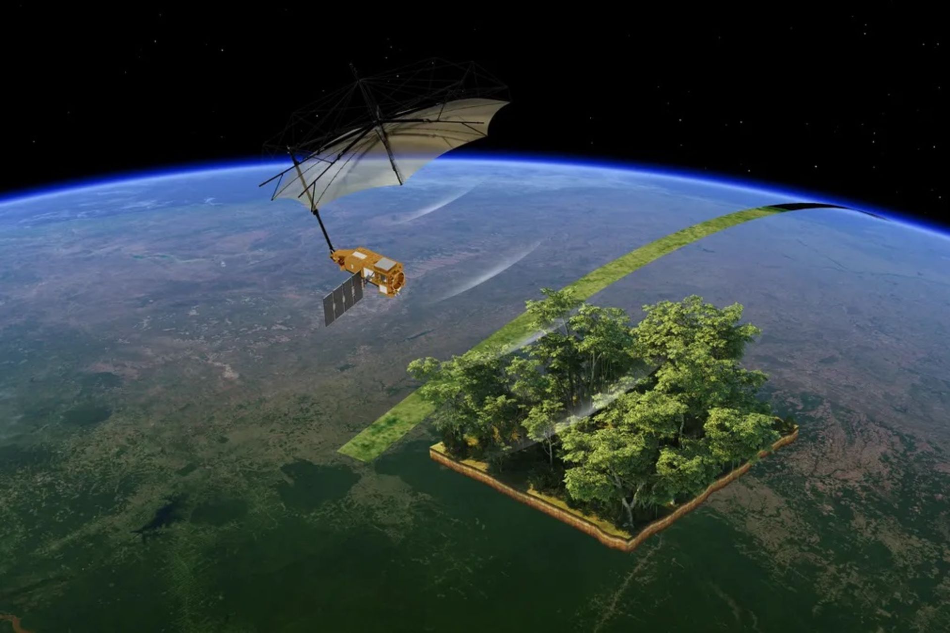 تصویرسازی هنری از چگونگی نگاه بیومس به جنگل‌های روی زمین