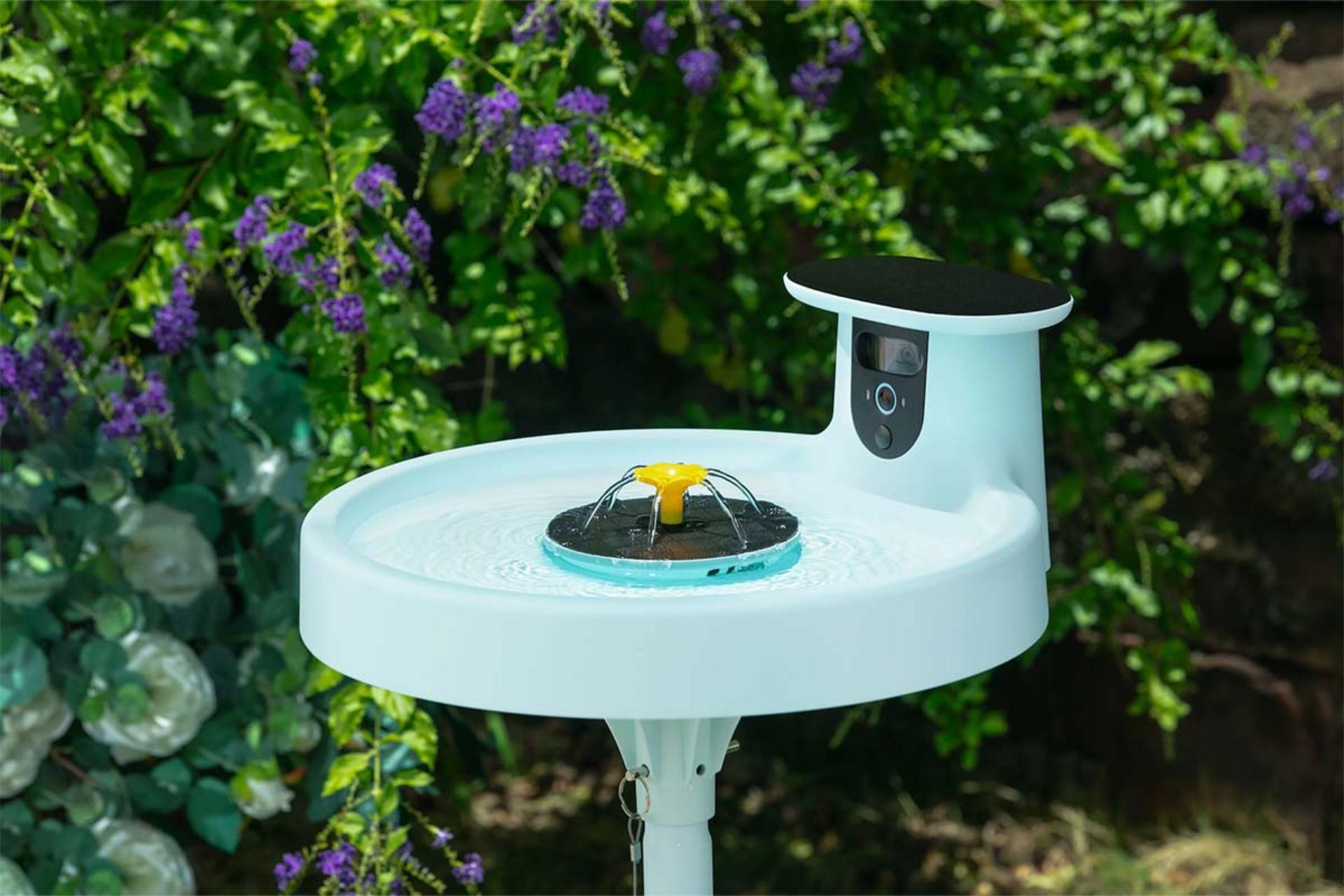 حمام پرنده هوشمند Birdfy Bath Pro