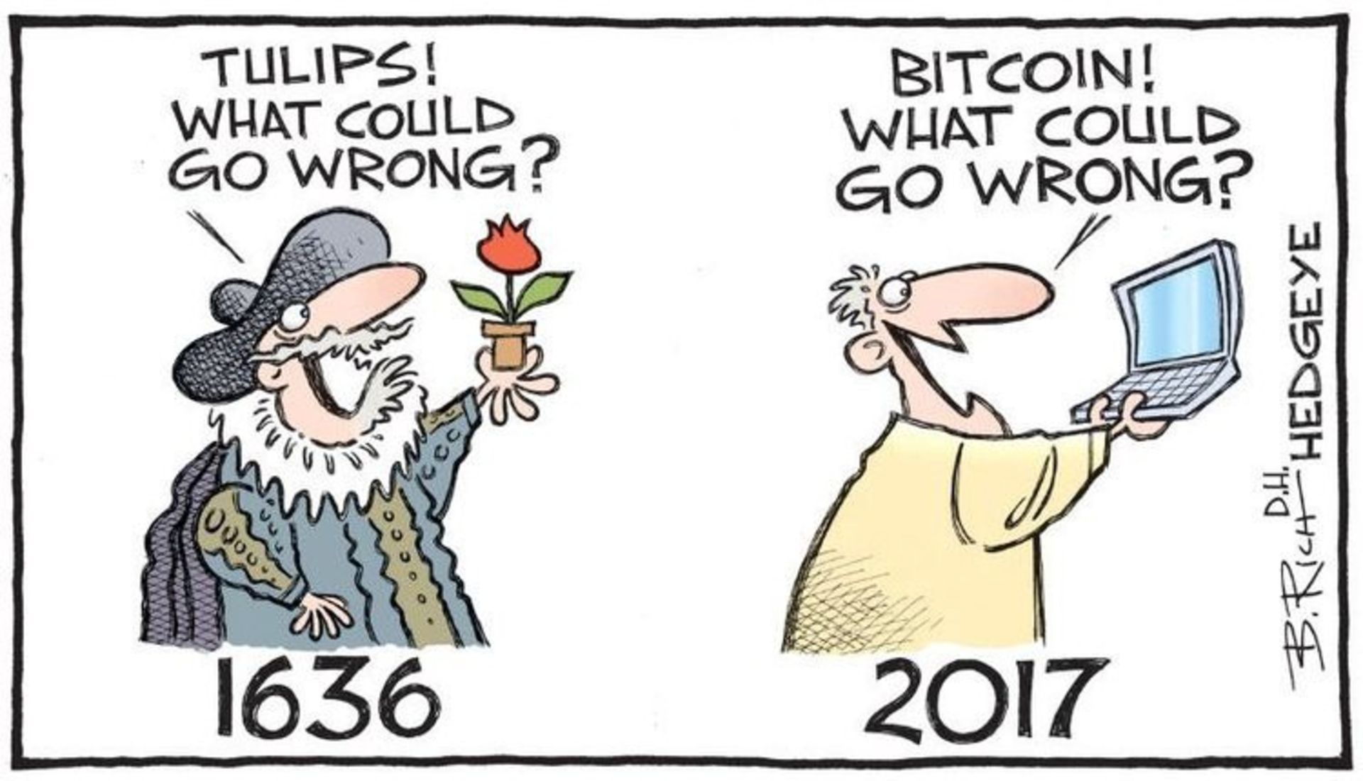 bitcoin and tulipmania