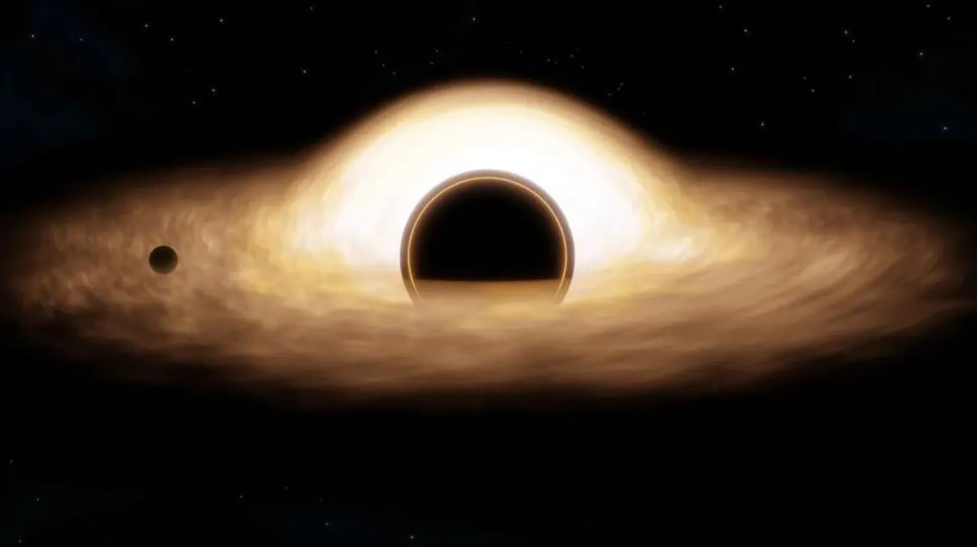 Black Holes