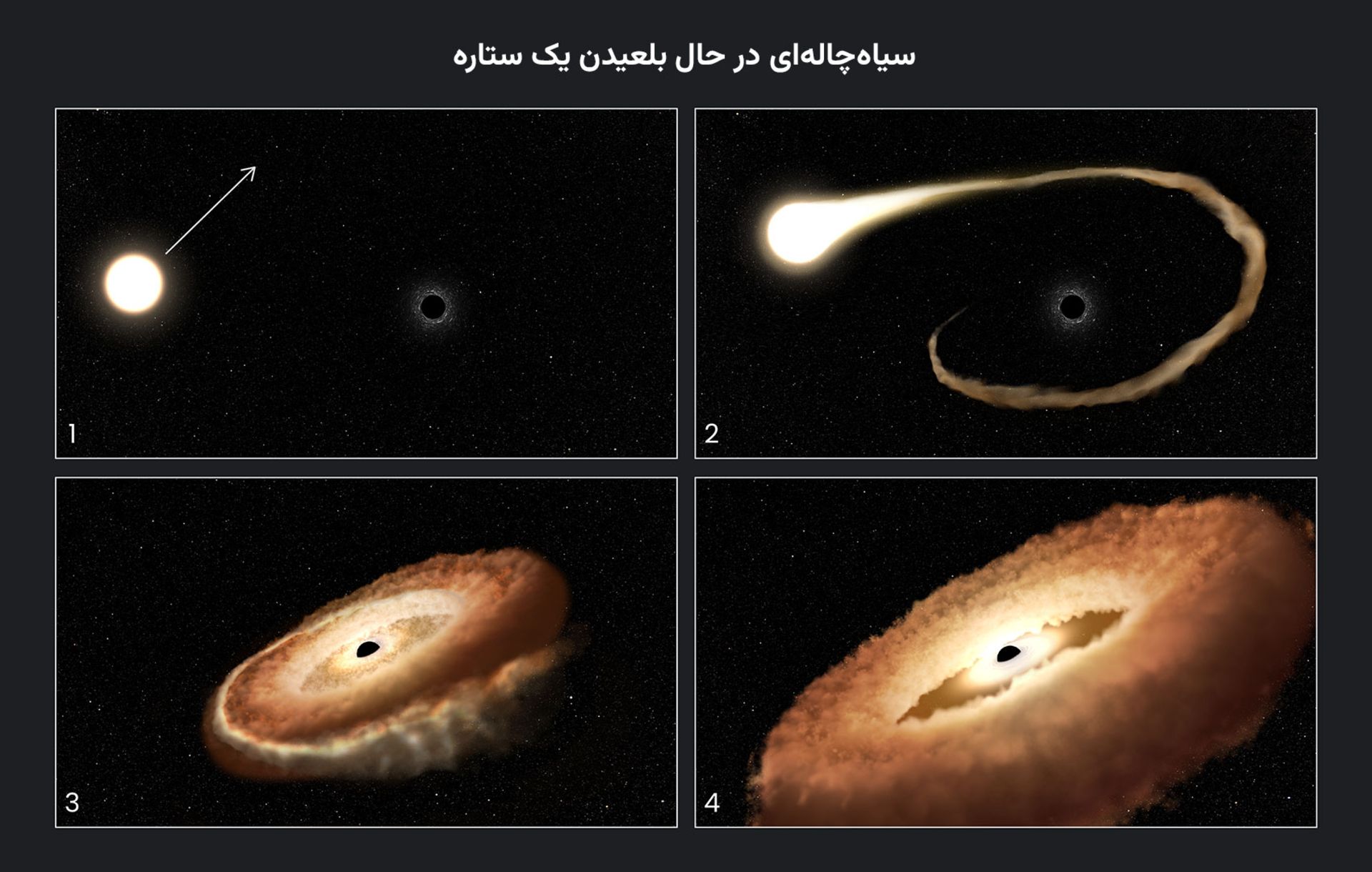 بلعیده شدن ستاره توسط سیاه‌چاله