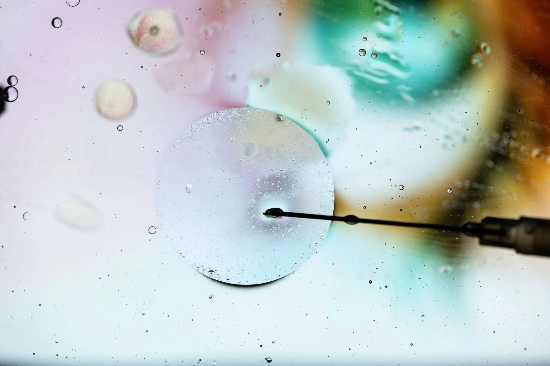 مدل رویان بلاستوئید