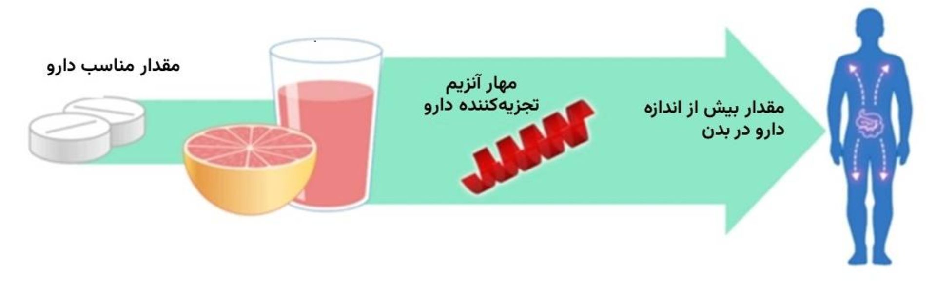 گریب فروت و مهار آنزیم