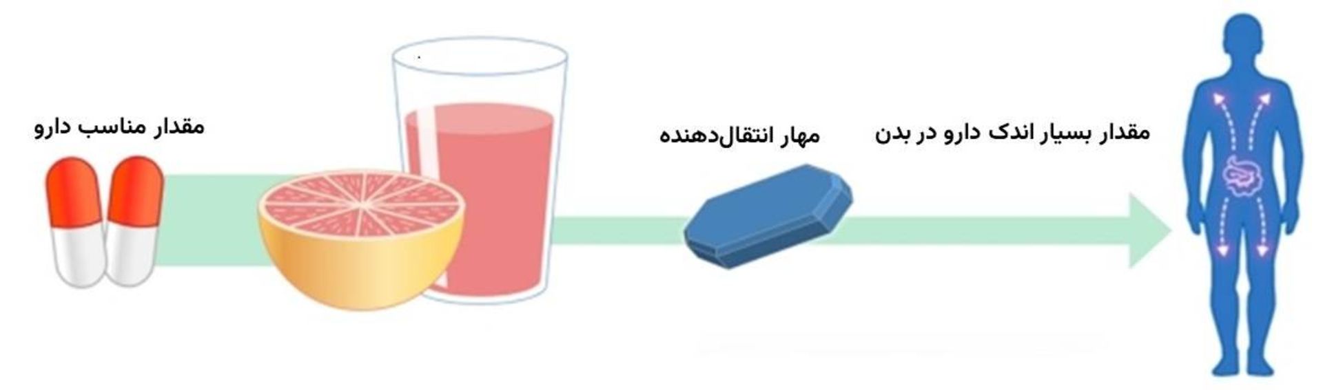 گریپ فروت و مهار ناقل دارو
