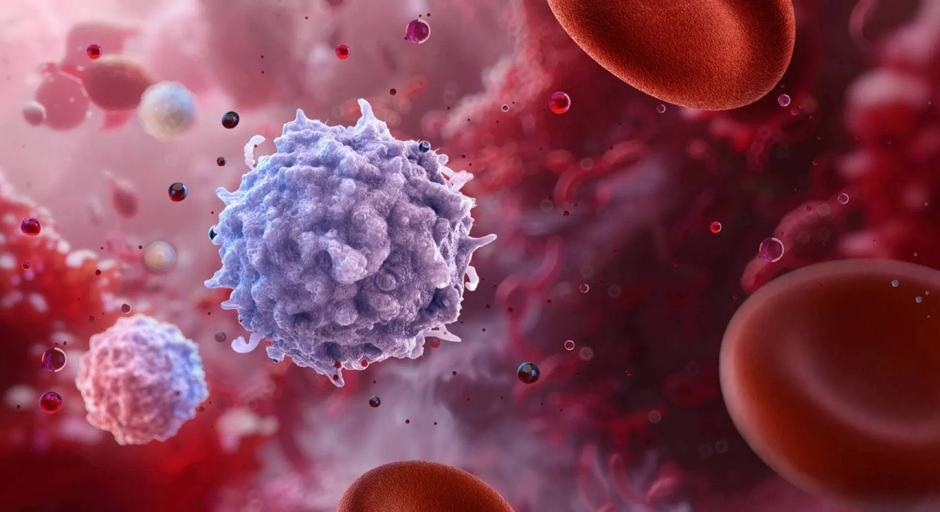 سلول های خونی و ایمنی