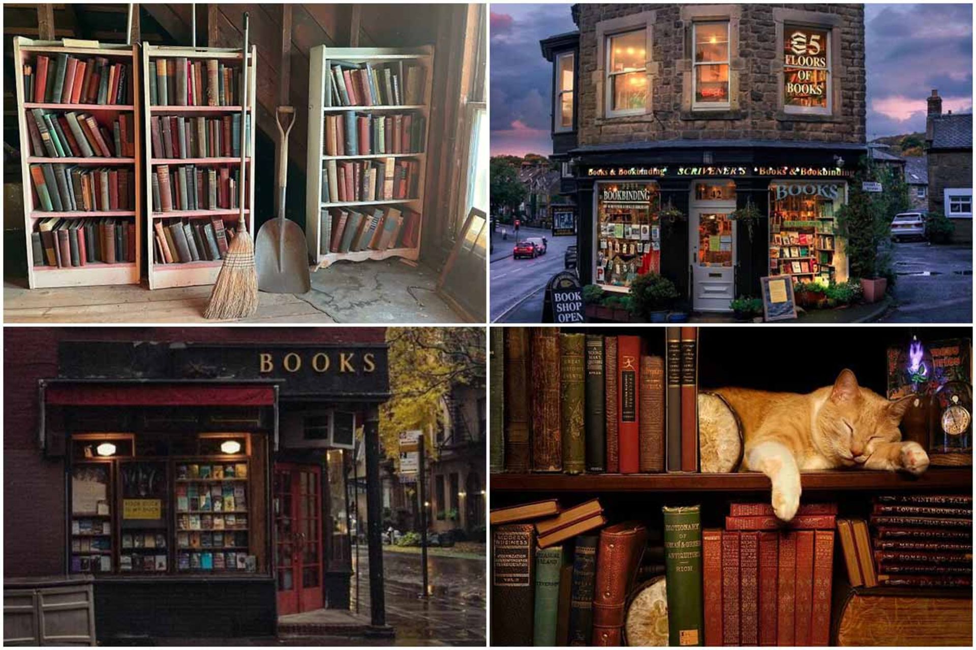 کتاب‌ و کتابخانه