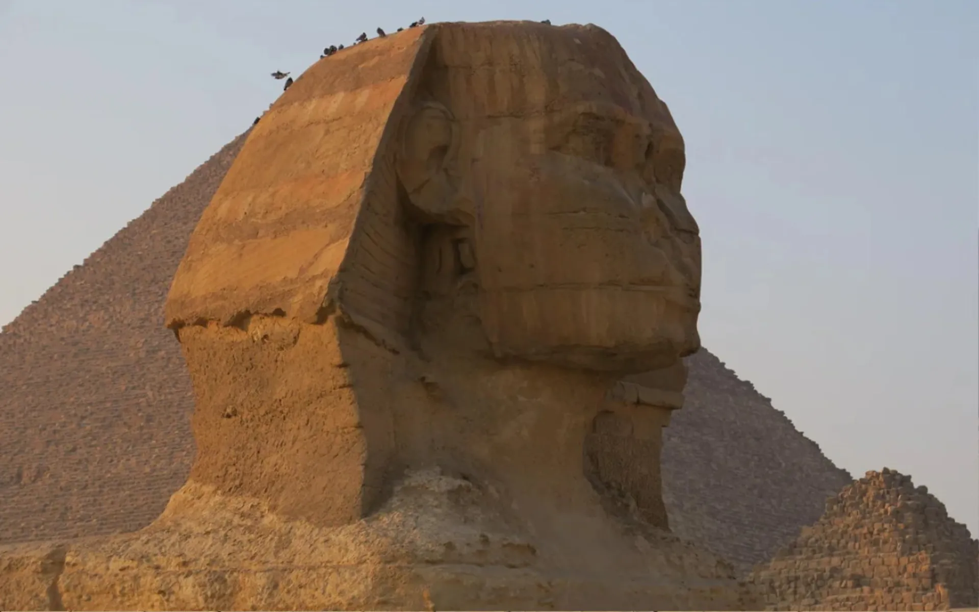 مجسمه ابوالهول