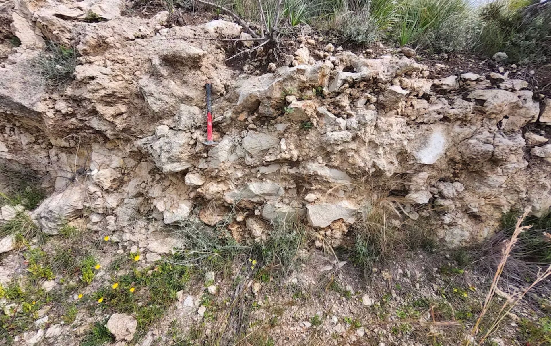 بقایای تخته سنگ