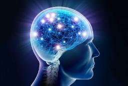 شناسایی ناحیه‌ای از مغز که تجربه آگاهانه از آن منشأ می‌گیرد